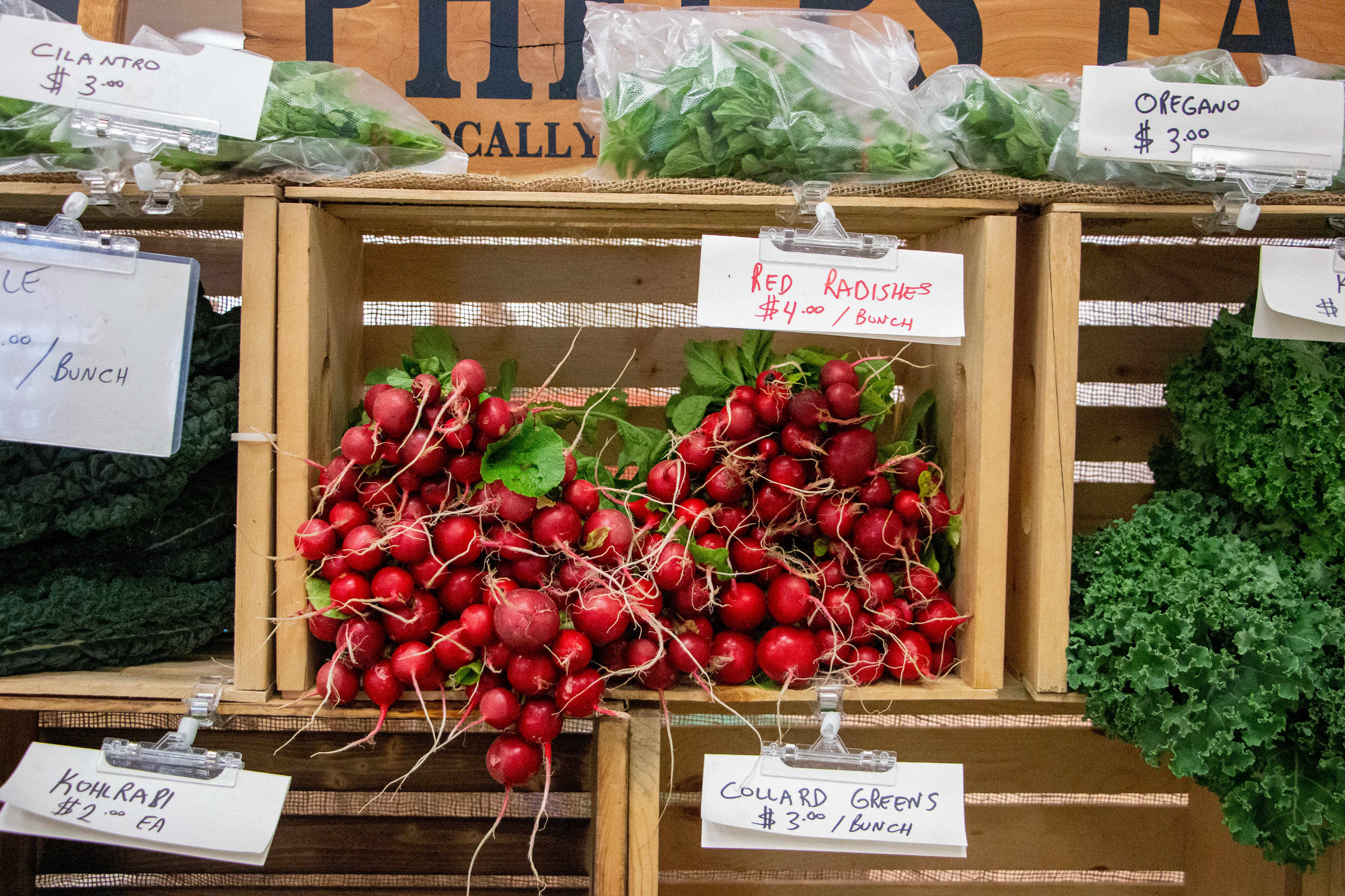 Winter Farmer's Market at Kennedy Mall in Dubuque, IA on April 27, 2024. Phelps Farm's organic red radish.