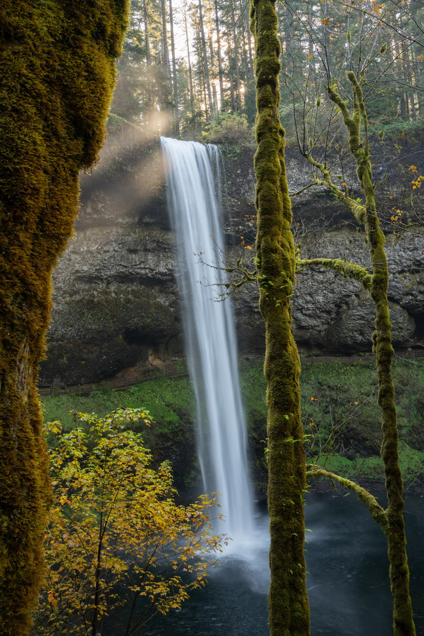 Vice President of Academic Affairs Recognition Award Winner                         Chemeketa Community College