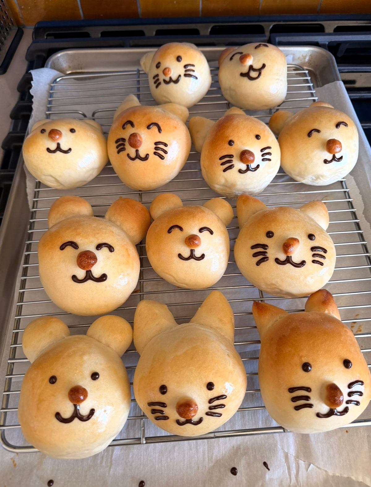 My hobby is baking bread, especially ones shaped like animals with custard cream or red bean paste inside.