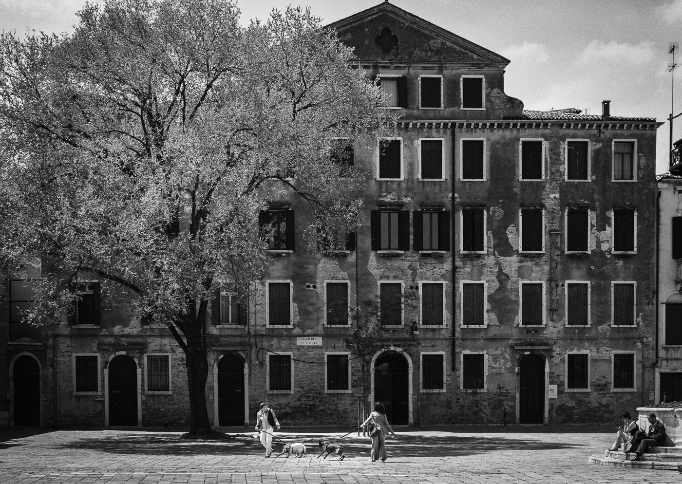 Campo San Polo, 2012