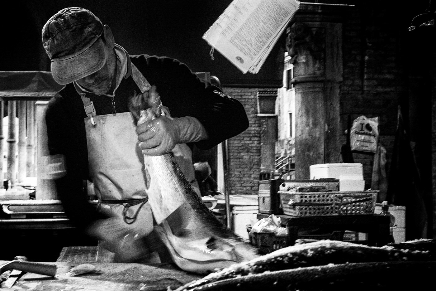 Campo de la Pescaria, 2017