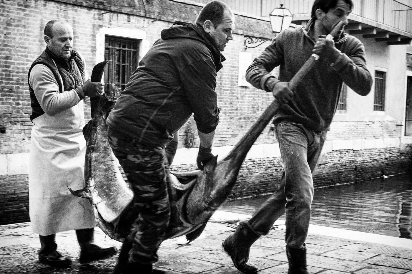 Campo de la Pescaria, 2017