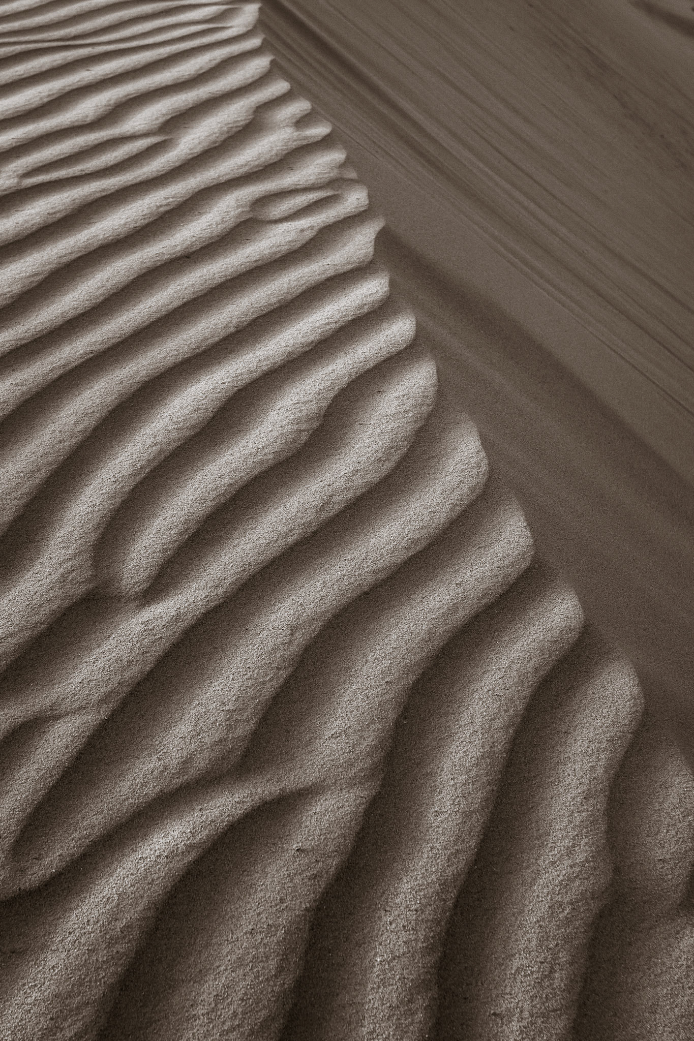 Erg Chebbi - Morocco