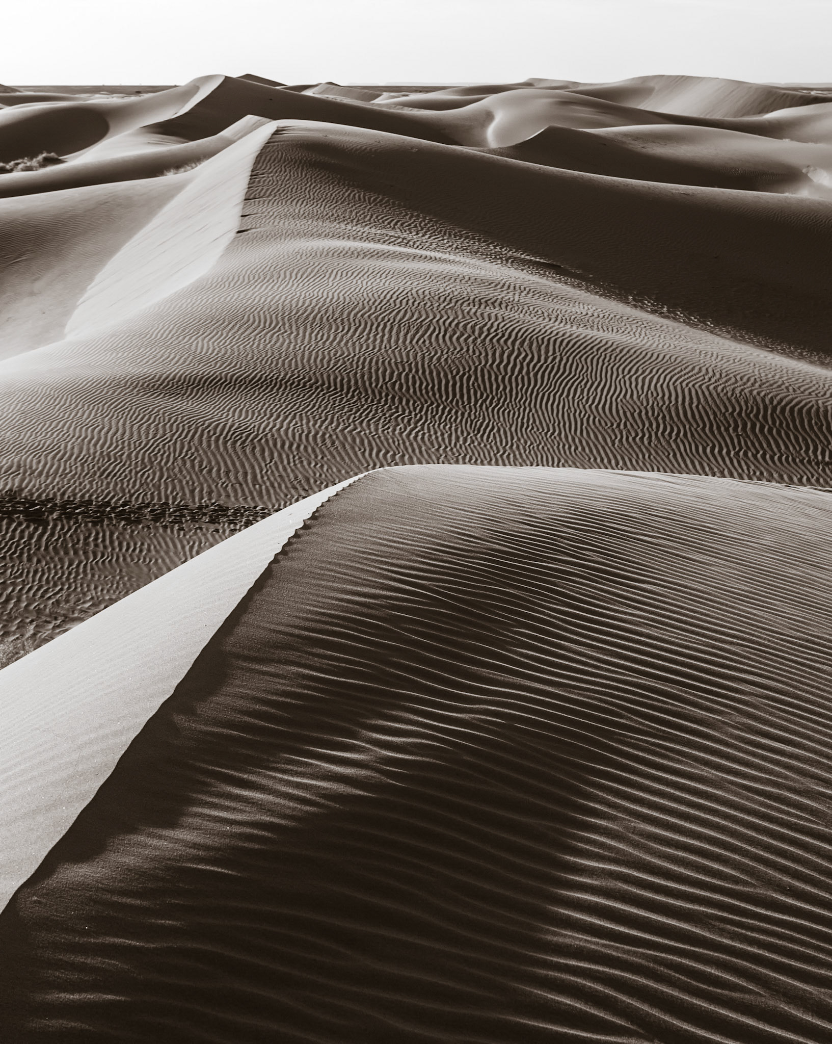 Erg Chebbi - Morocco
