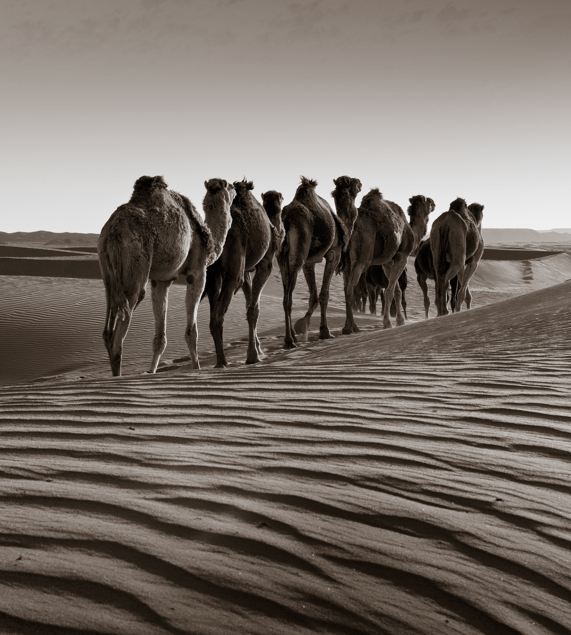 Erg Chebbi - Morocco