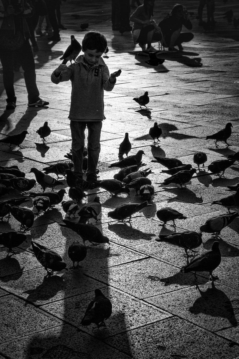 Piazza San Marco, 2012
