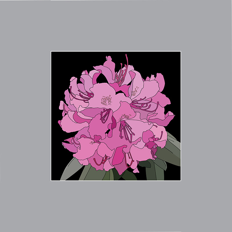 Digital Artwork