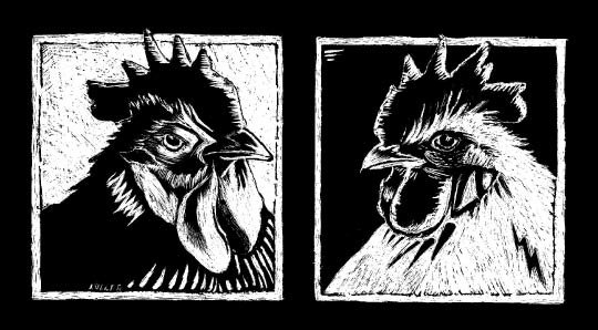 Scratchboard