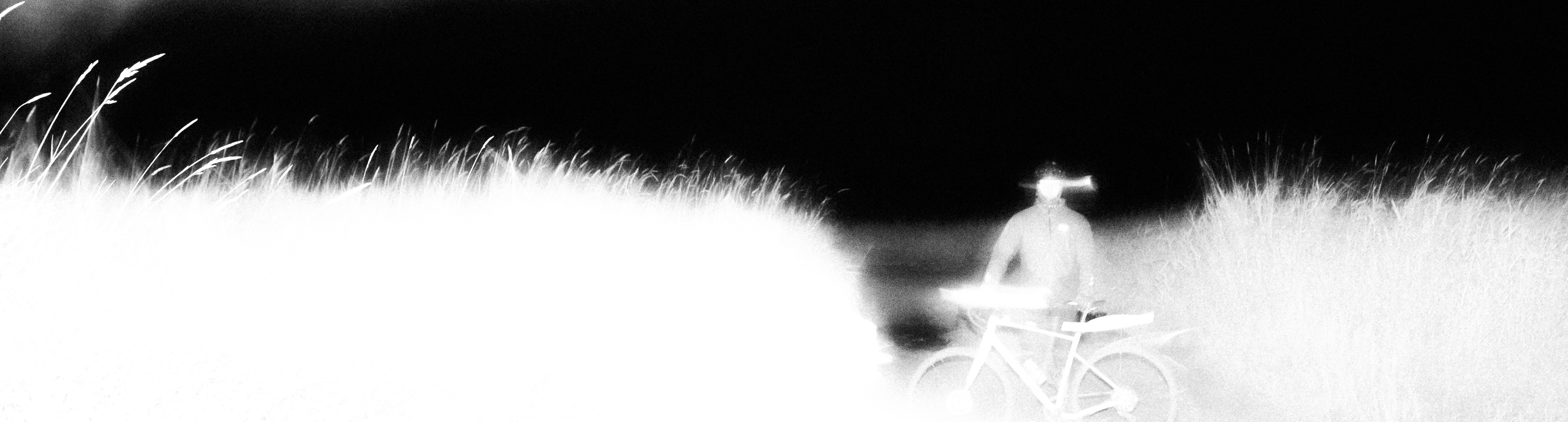 Shota for Reaper Lights