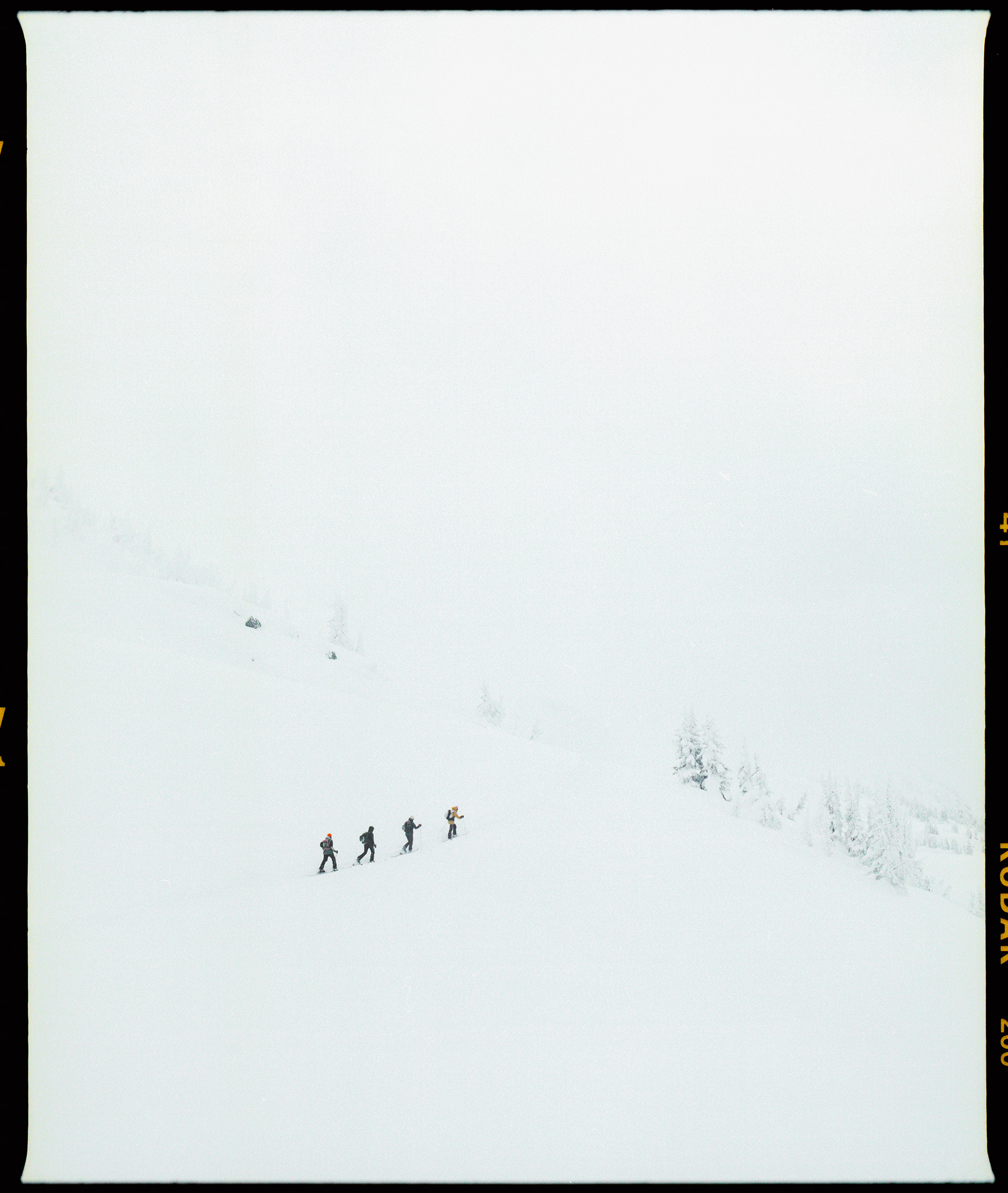 Sara Berrefjord (120)