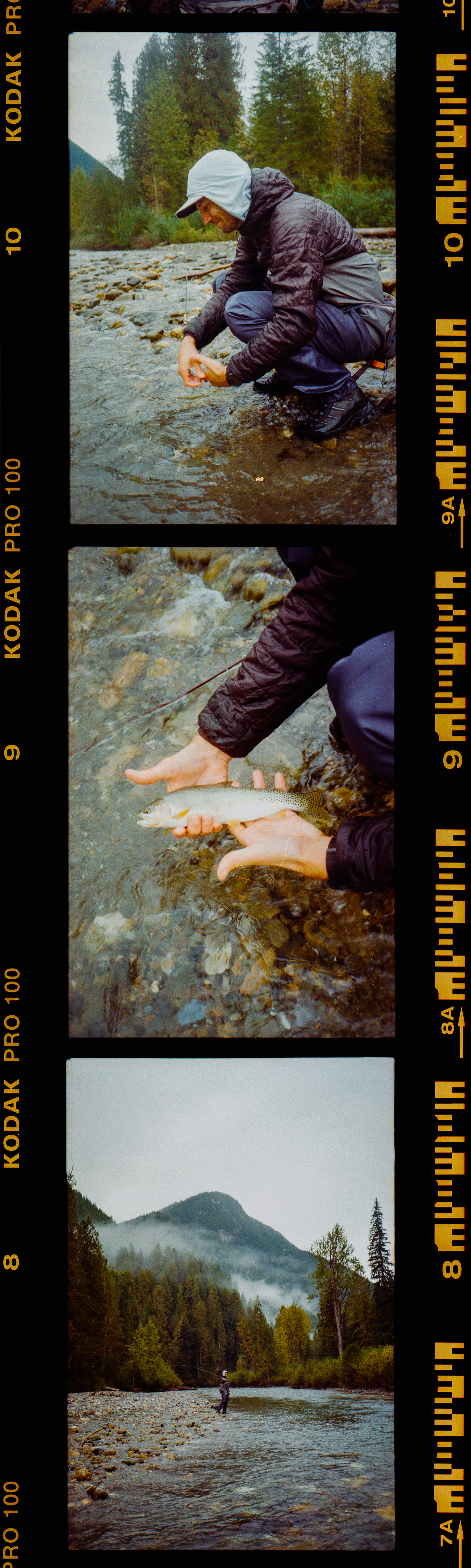 Michael O'Farrell (35mm)