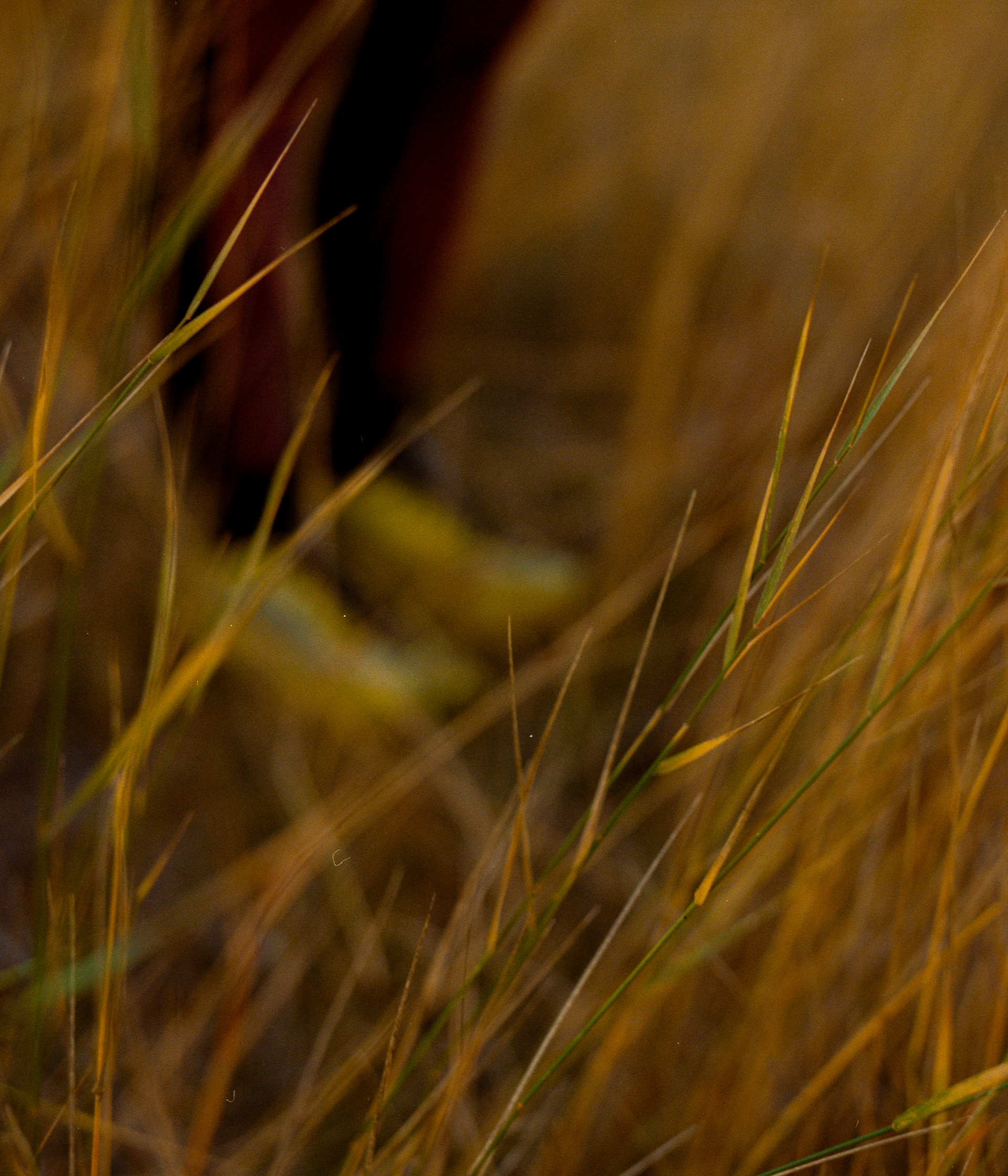 Emma Cook-Clarke for Arc'teryx (120 film)
