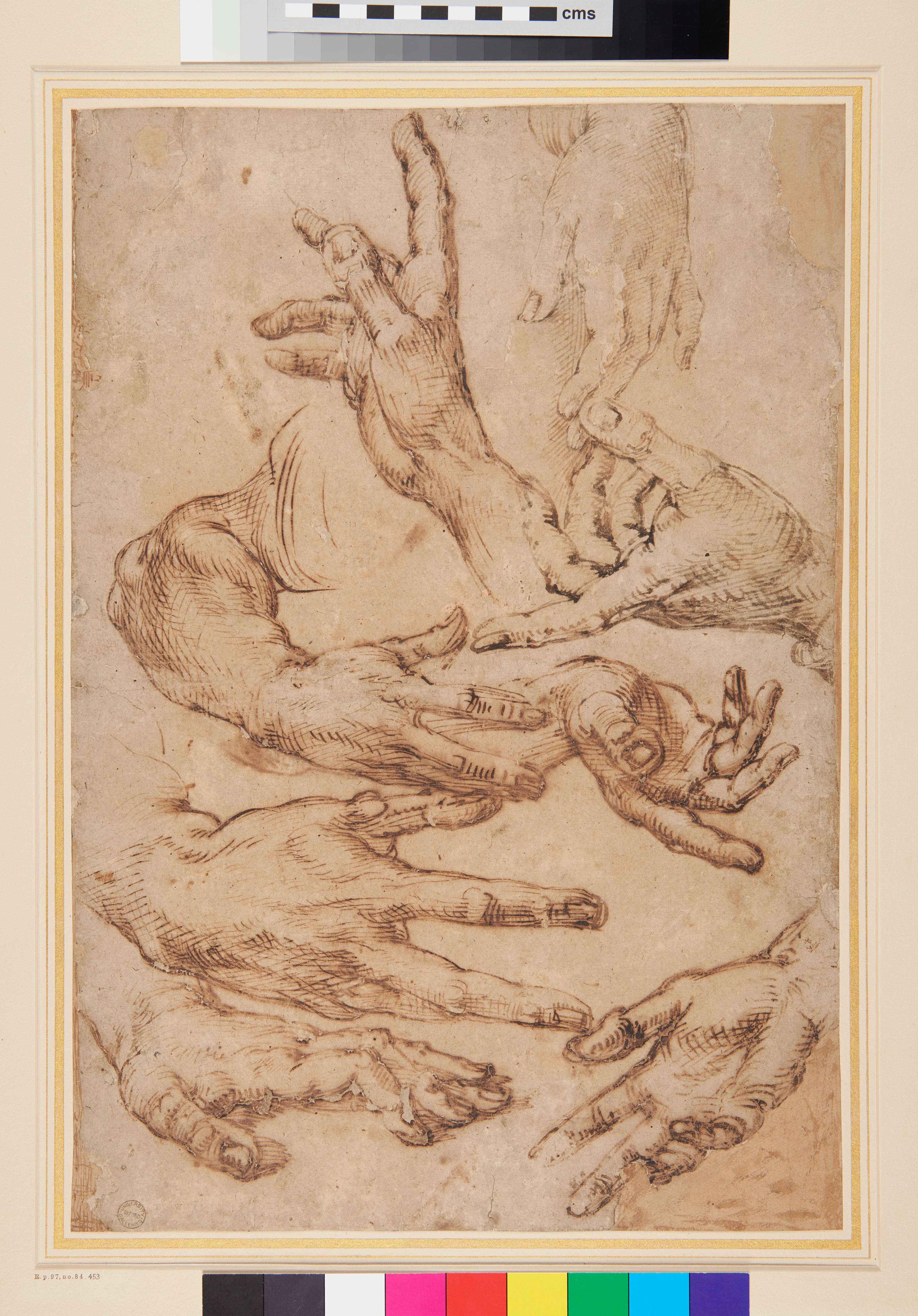 WA.1846.137 - Studies of Hands © Ashmolean Museum, University of Oxford