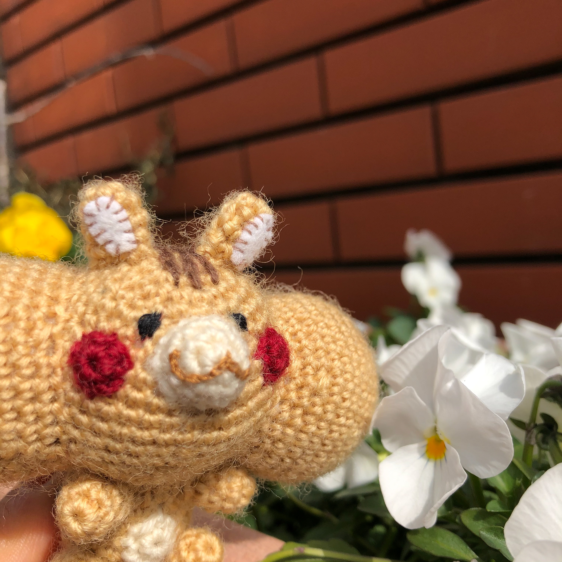 お花と