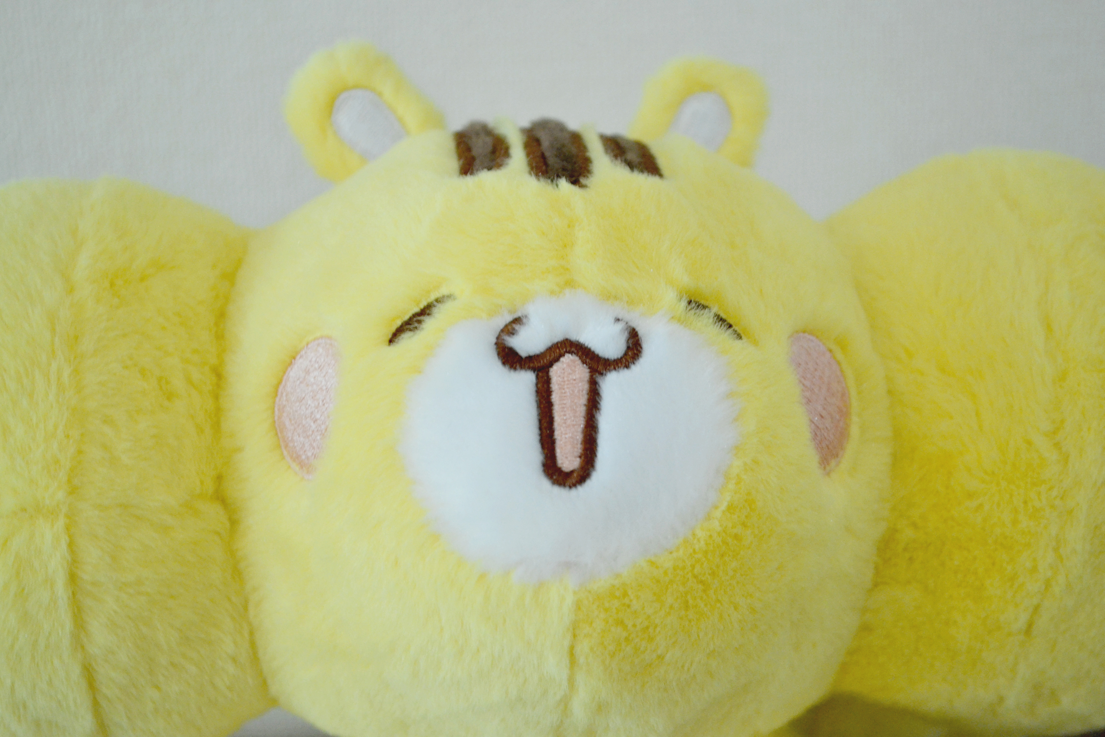 顔