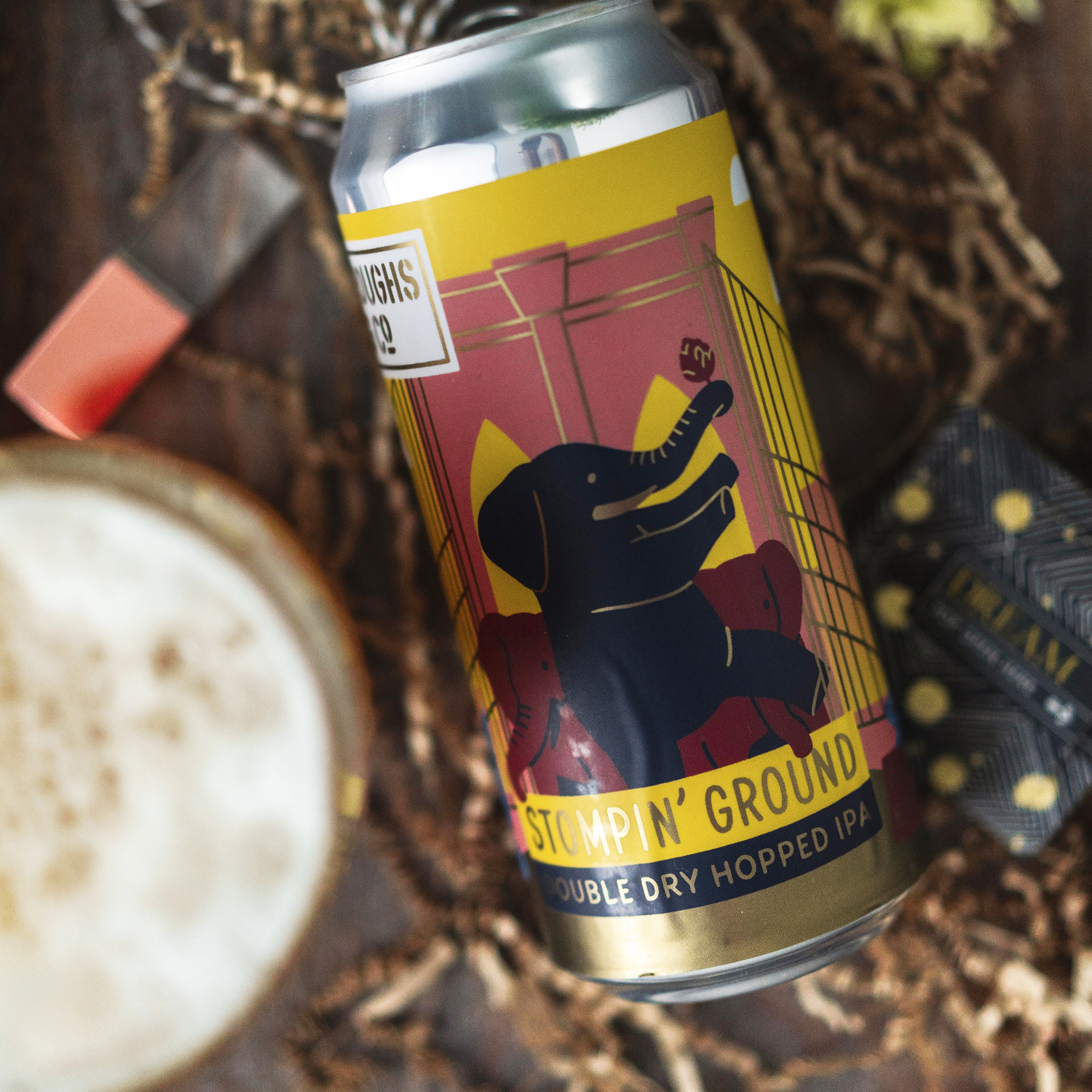 Photo Courtesy of Paul Shim