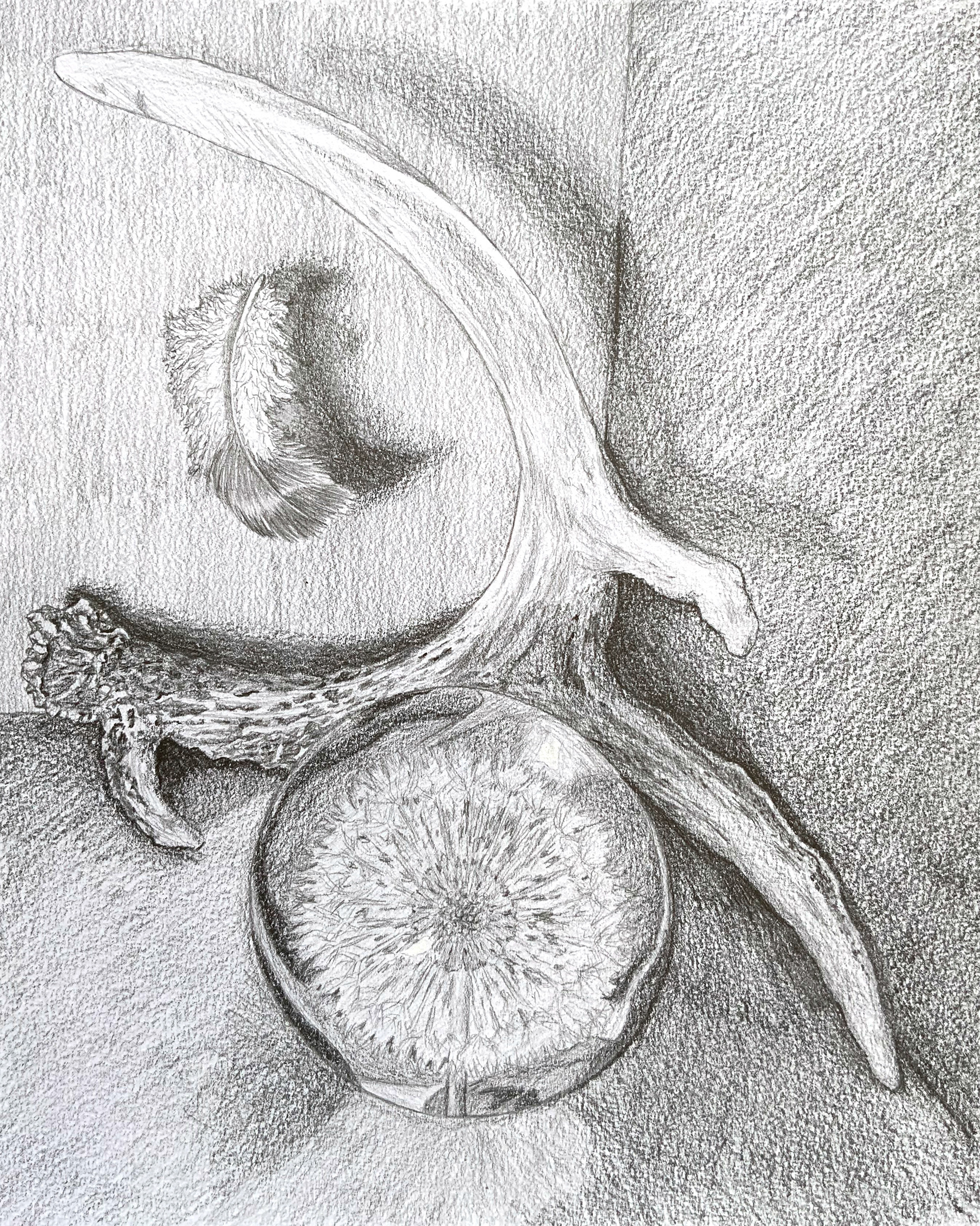Mystical Still Life, 2023, graphite pencil on mix media paper