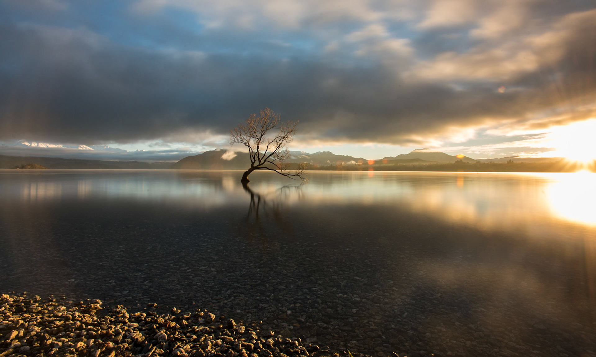 That Wanaka Tree, Wanaka New Zealand