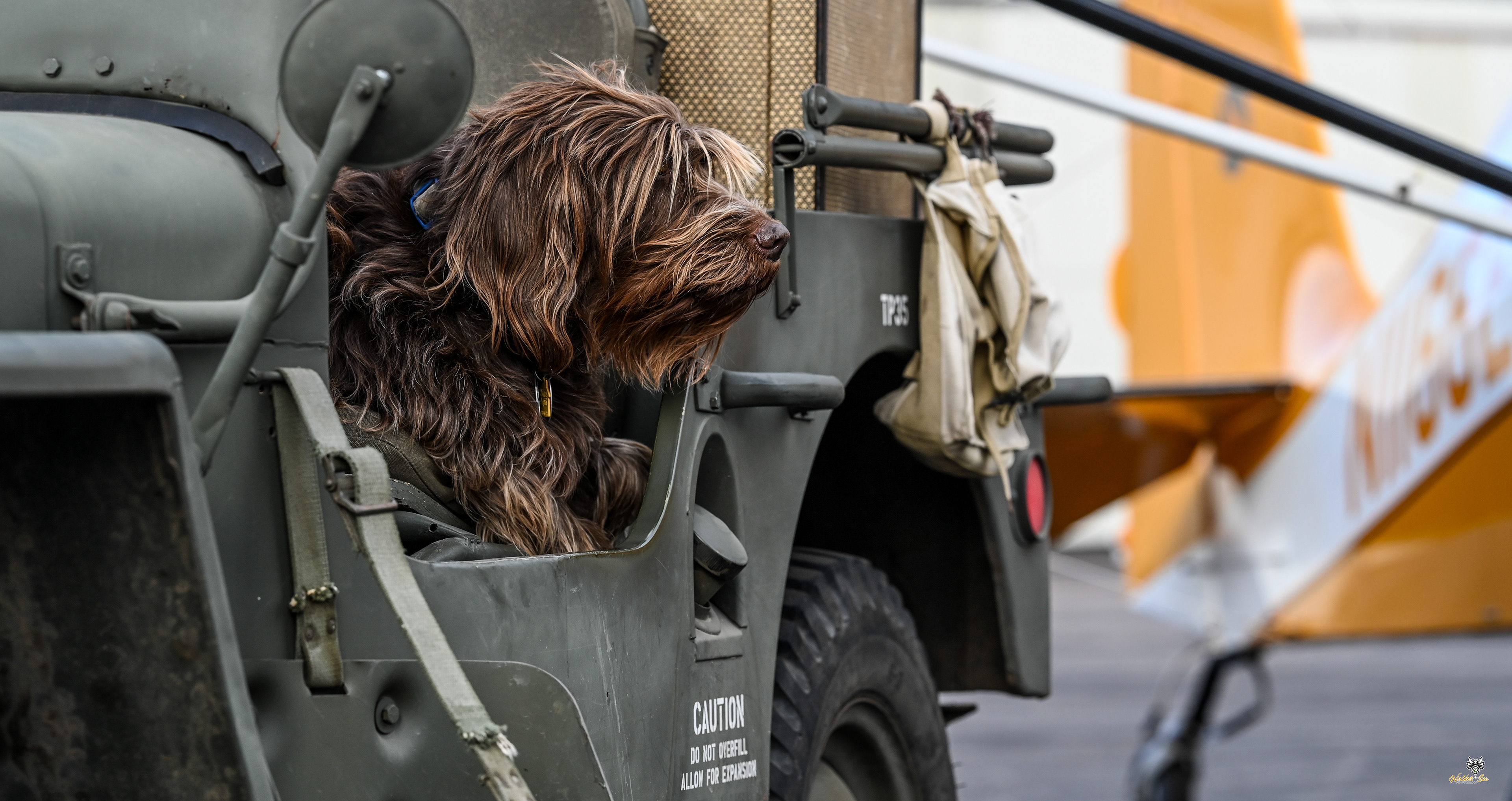1950's Themed Photo Shoot