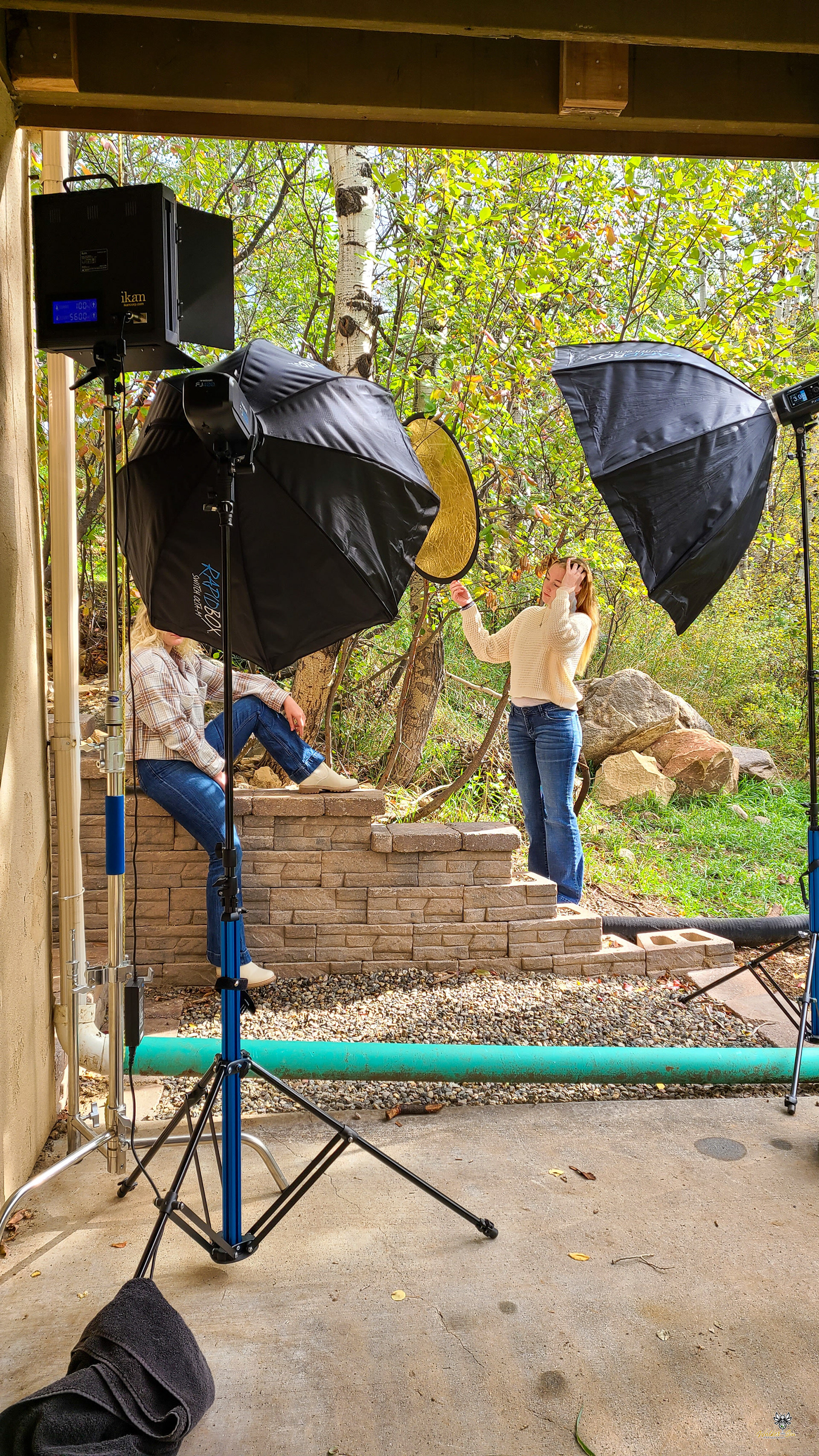 In our backyard studio