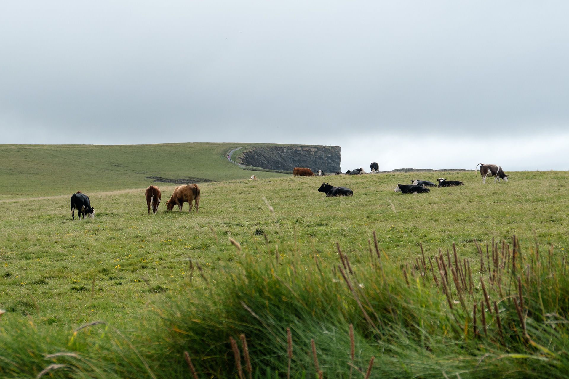 KILKEE CLIFFS