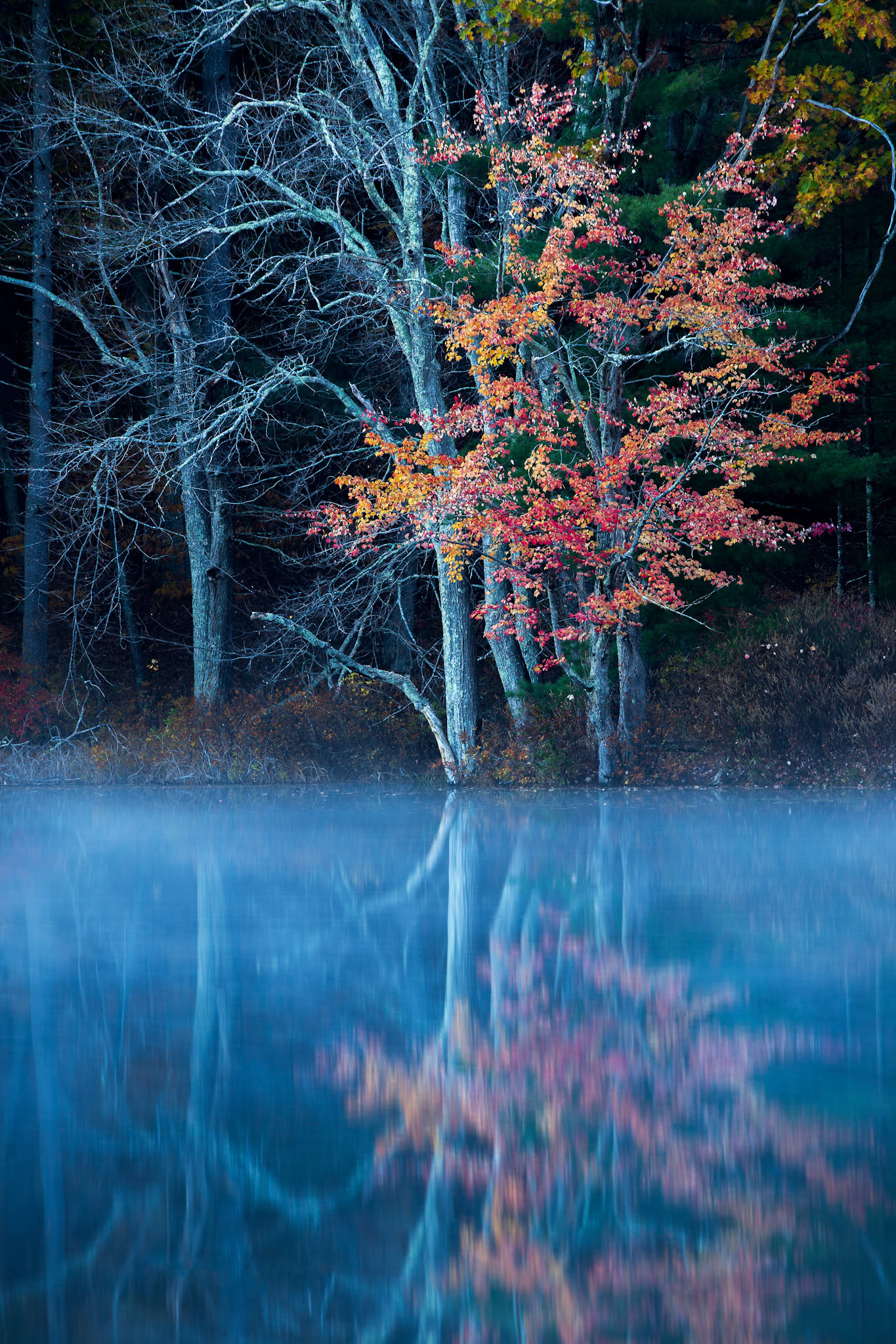 Burges Pond