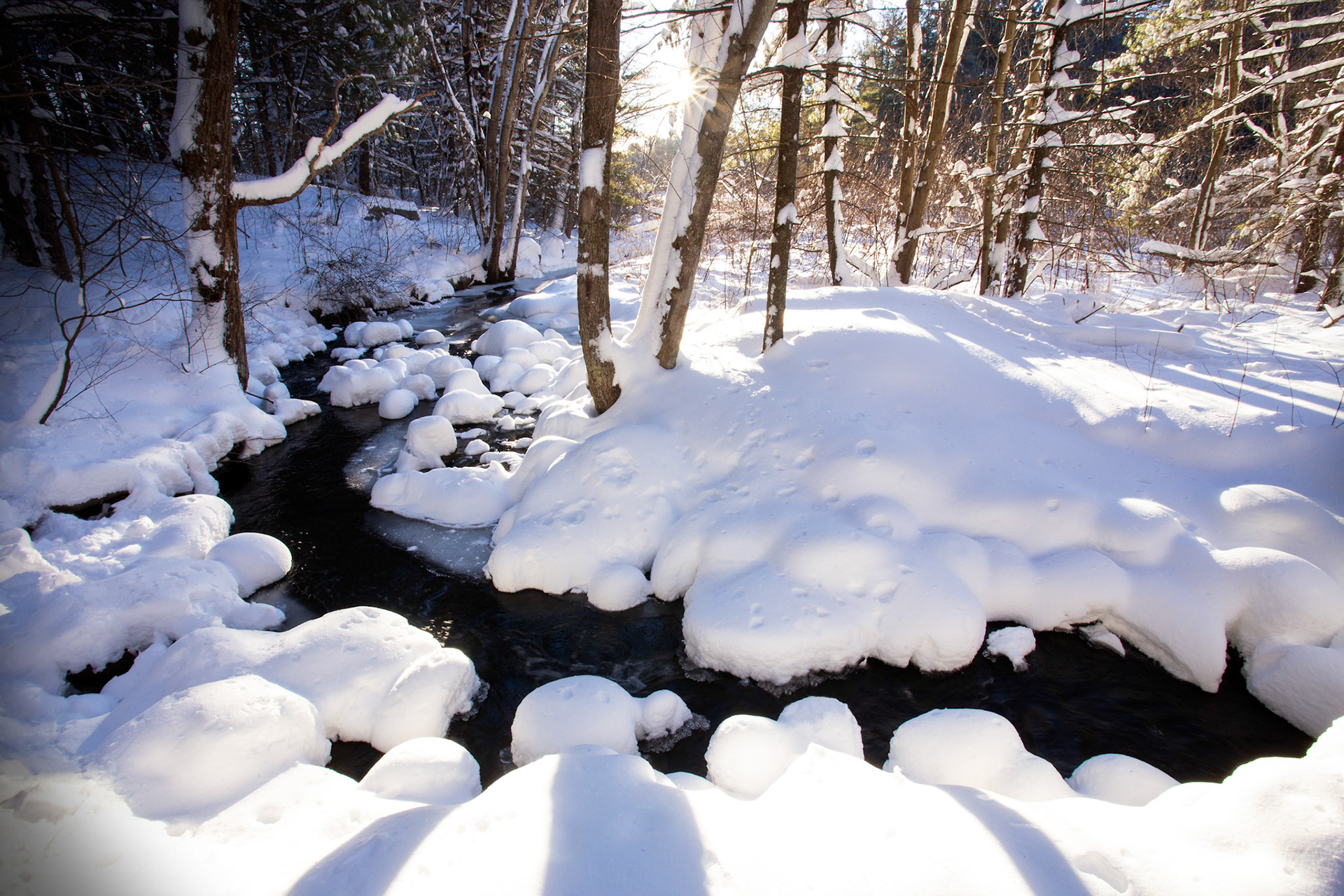 Morning after a Blizzard at Deep Brook