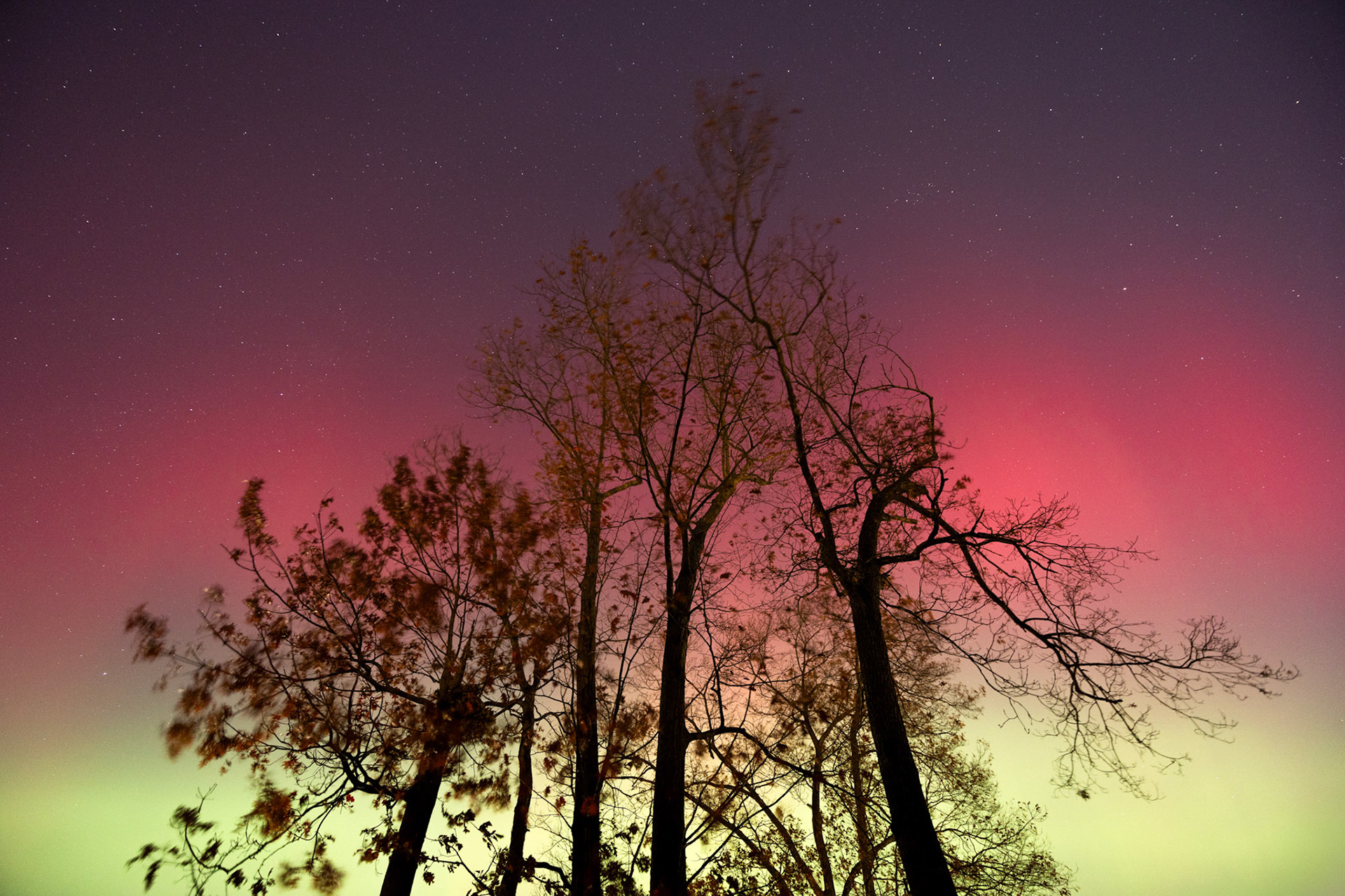 "Backyard Aurora II" (November 2025)