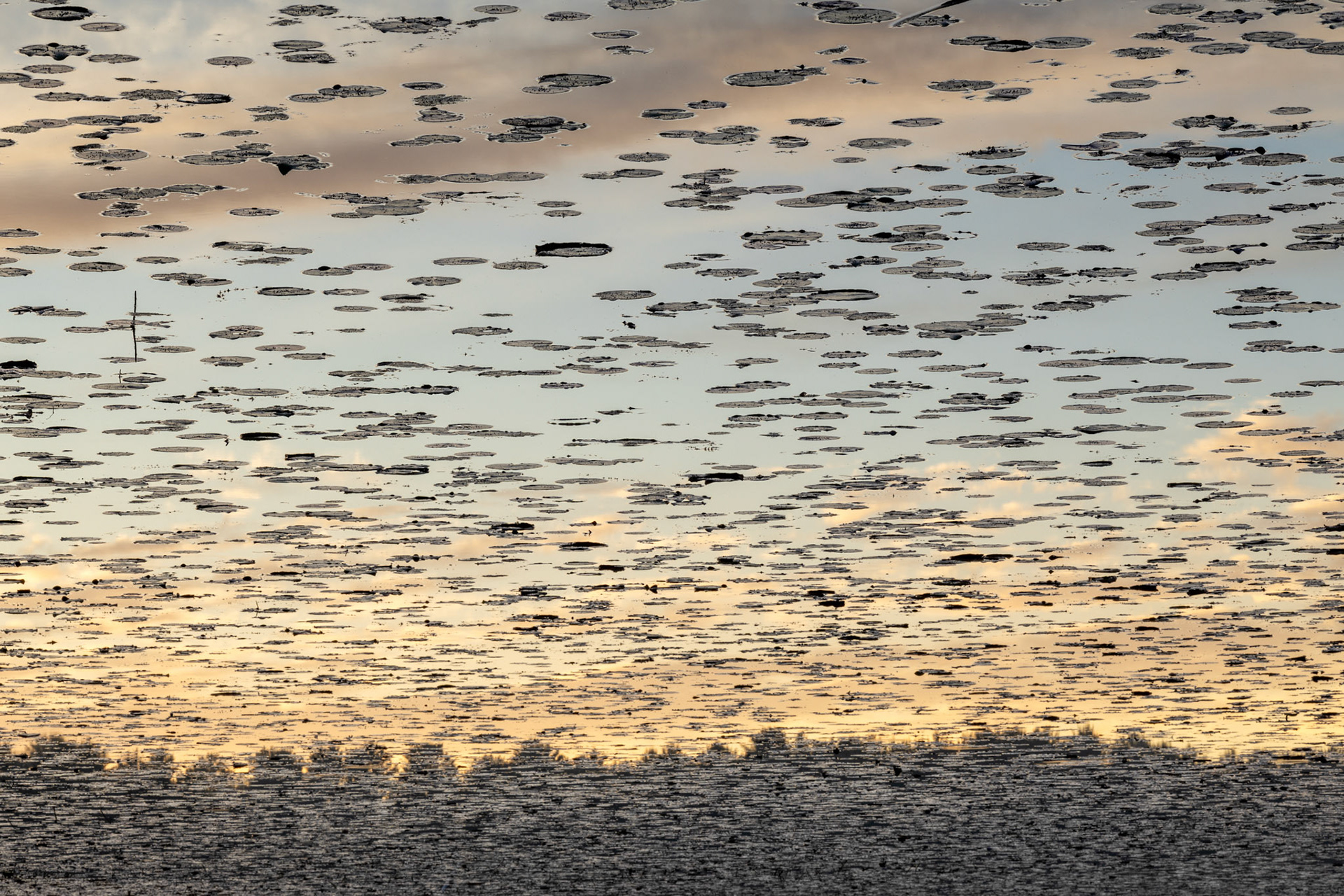 "Space Invaders" (September 2024)