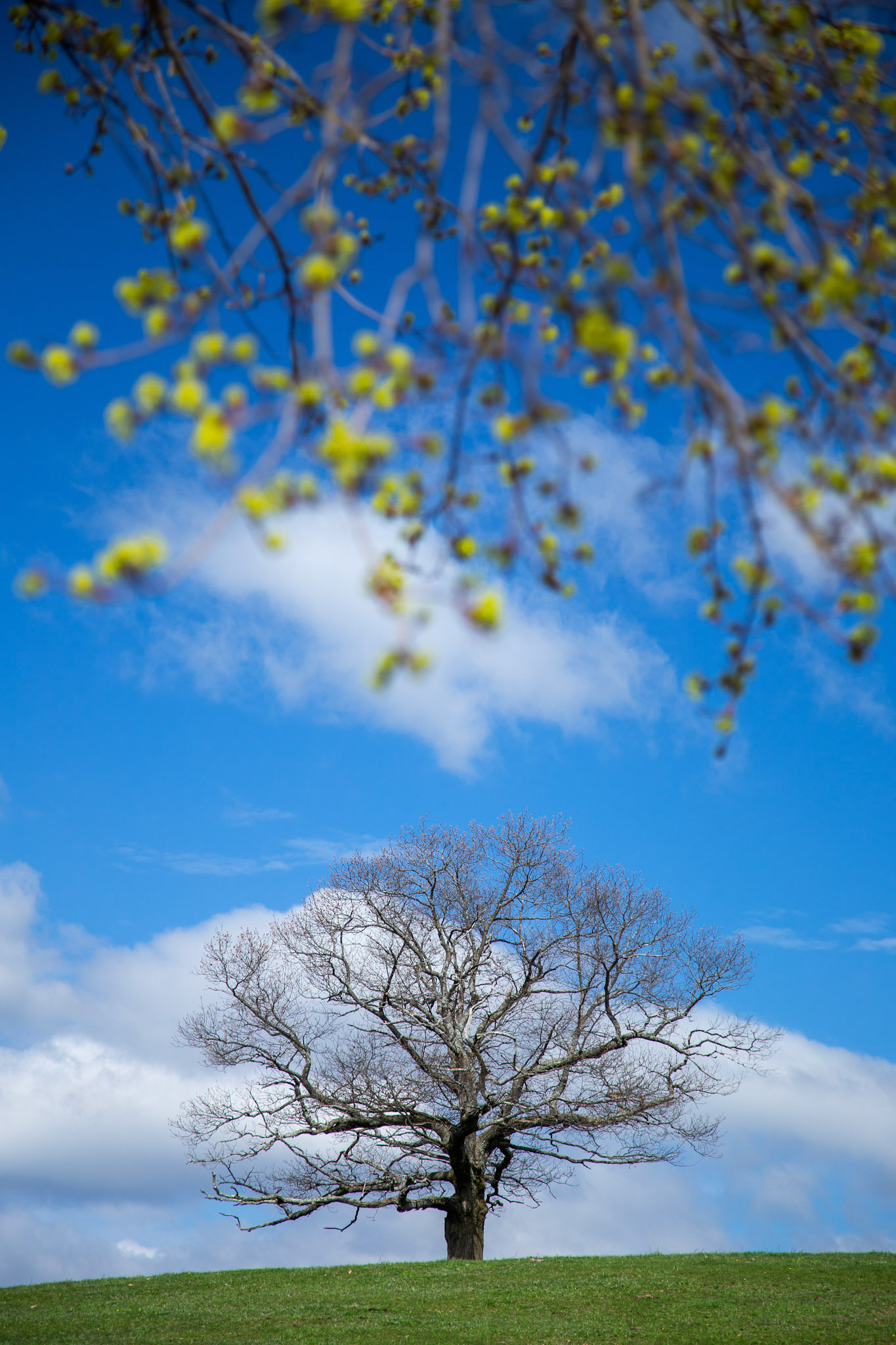 Shifting Seasons