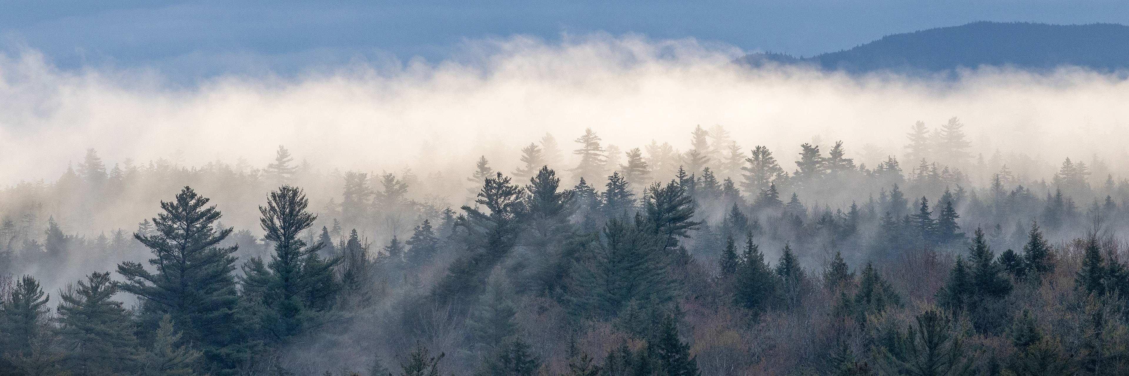 Fog in the Pemi