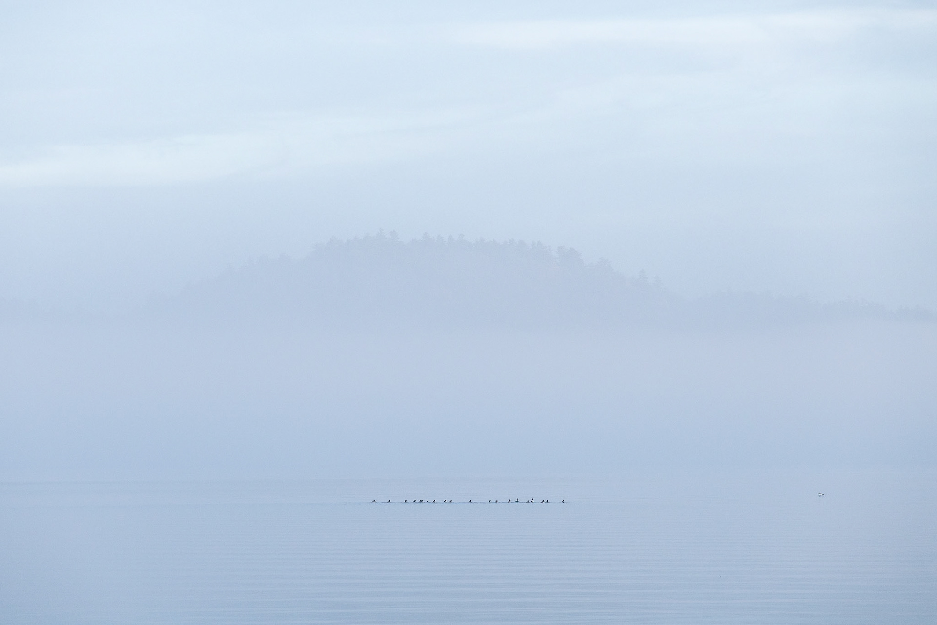 Cloud Cuckoo Land
