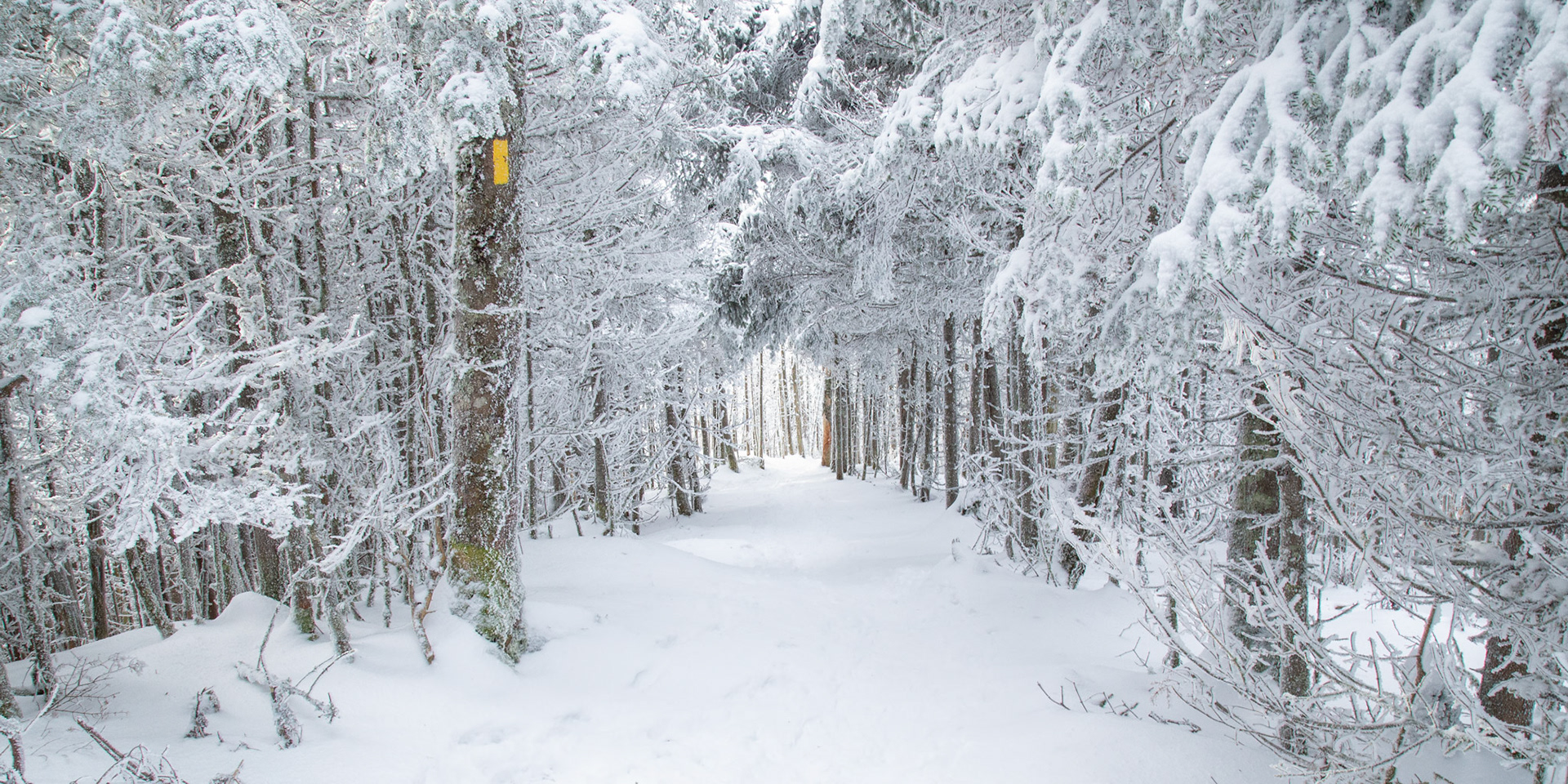 Kilkenny Ridge Trail