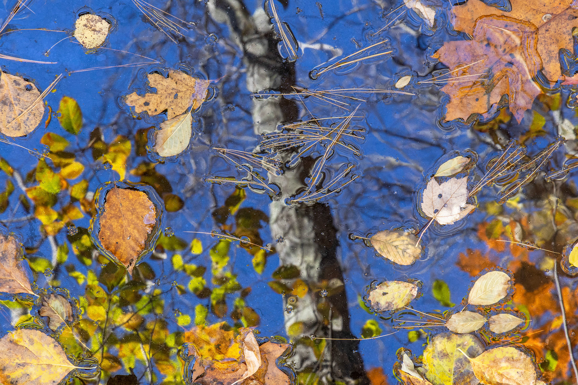 "Pick Up Sticks" (October 2025)