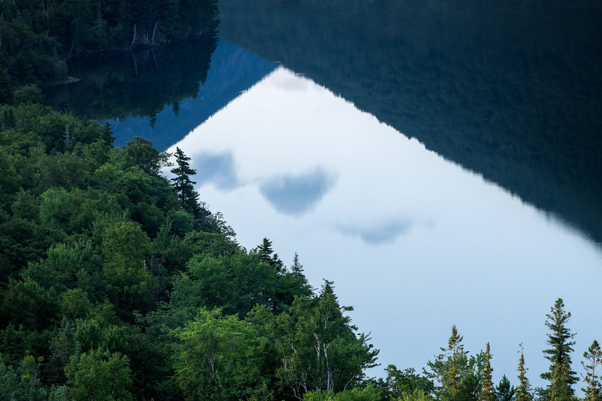 "The White Mountain" (July 2024)