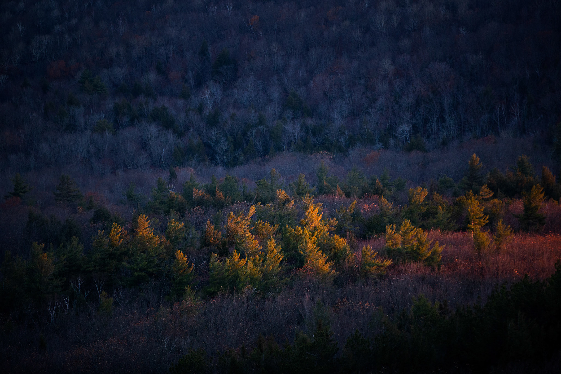 First Light below Moiunt Major
