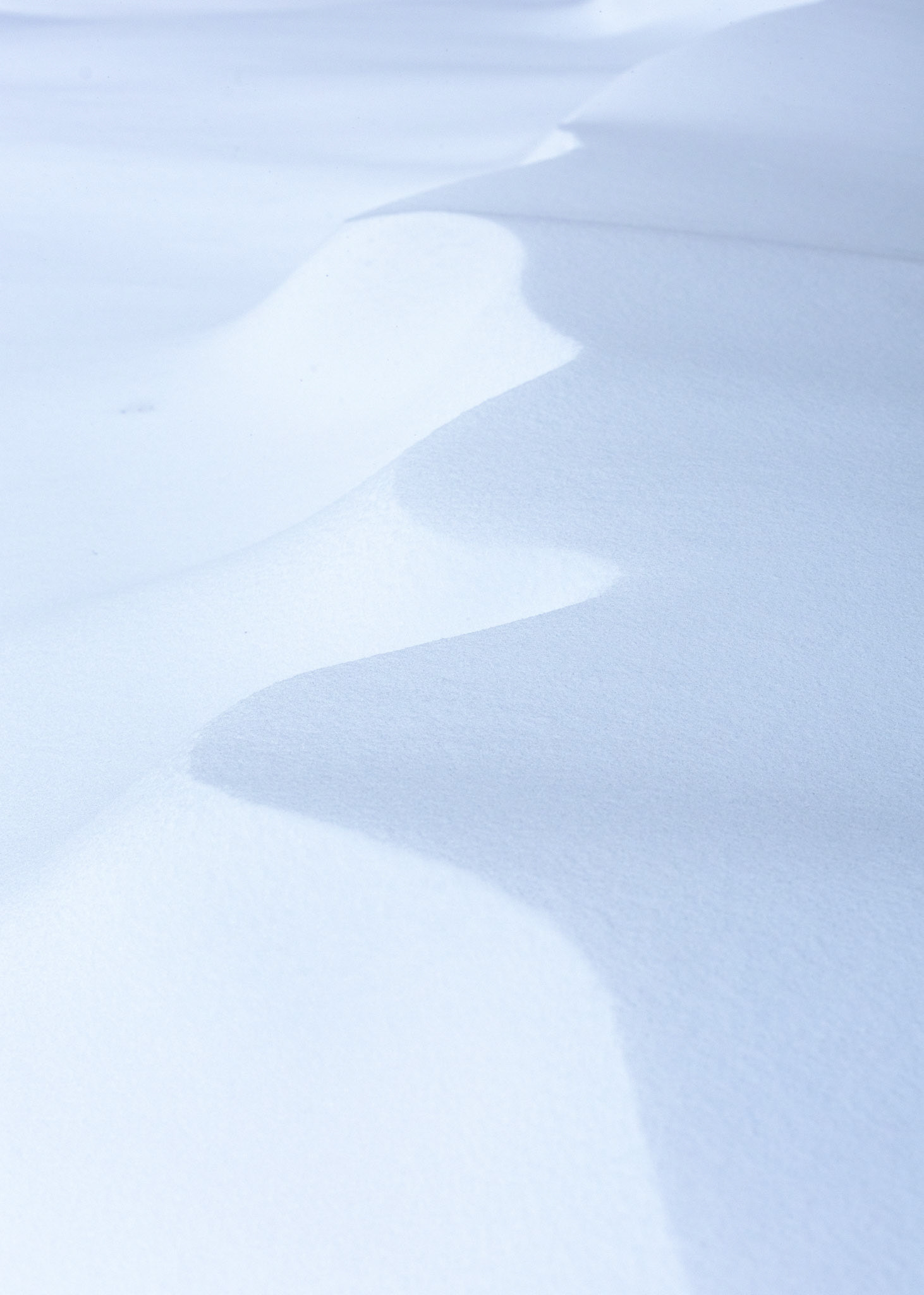 "Dune Scrolling" (January 2026)