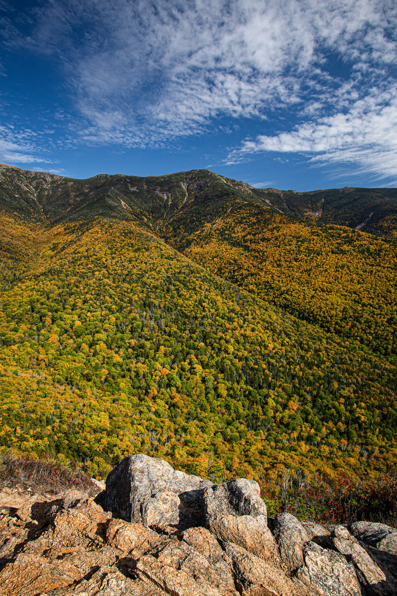 Walker Ravine