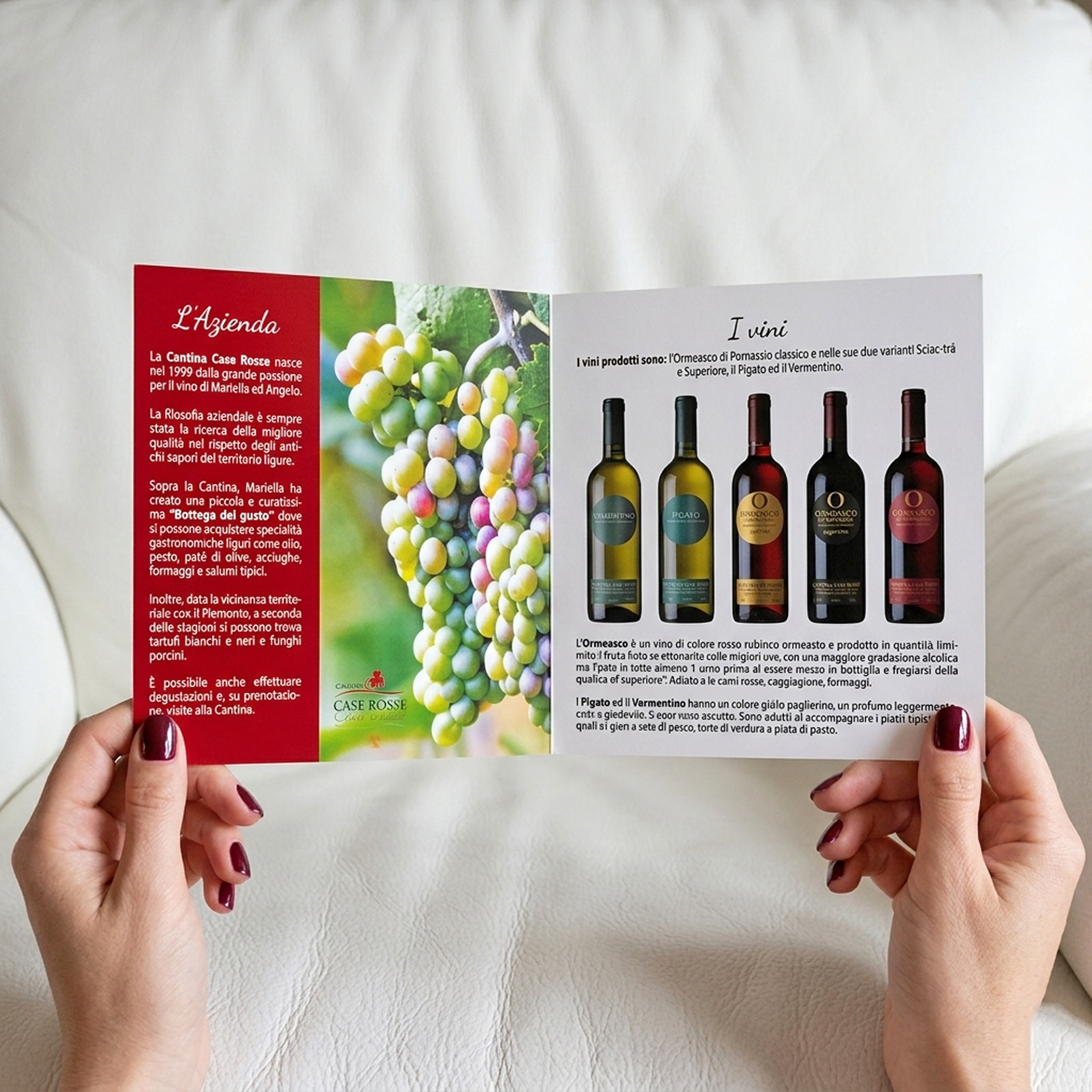 Pieghevole  aziendale