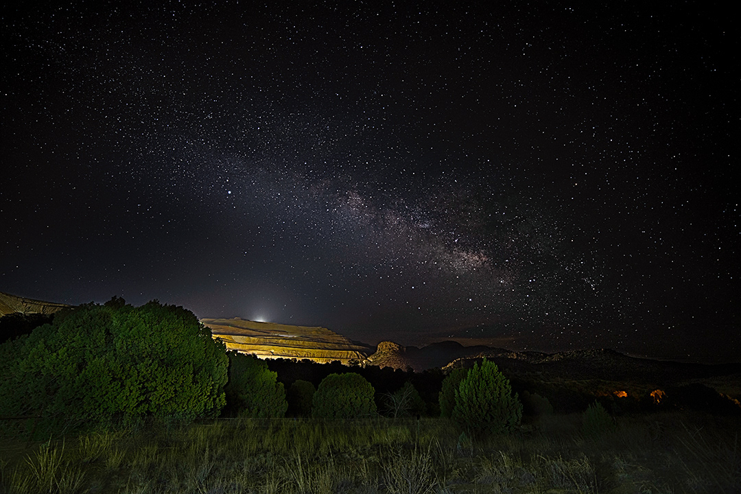 Early Morning at Chino