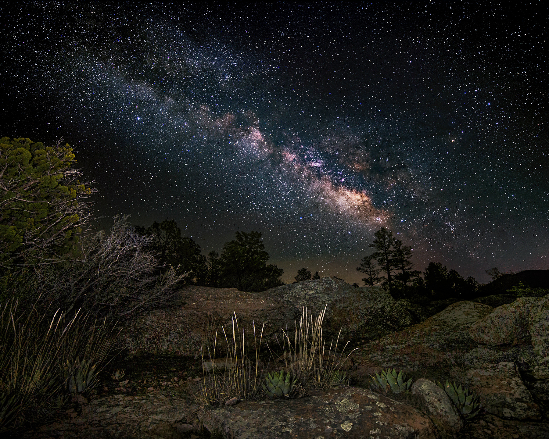 Cherry Creek Spring Milky Way