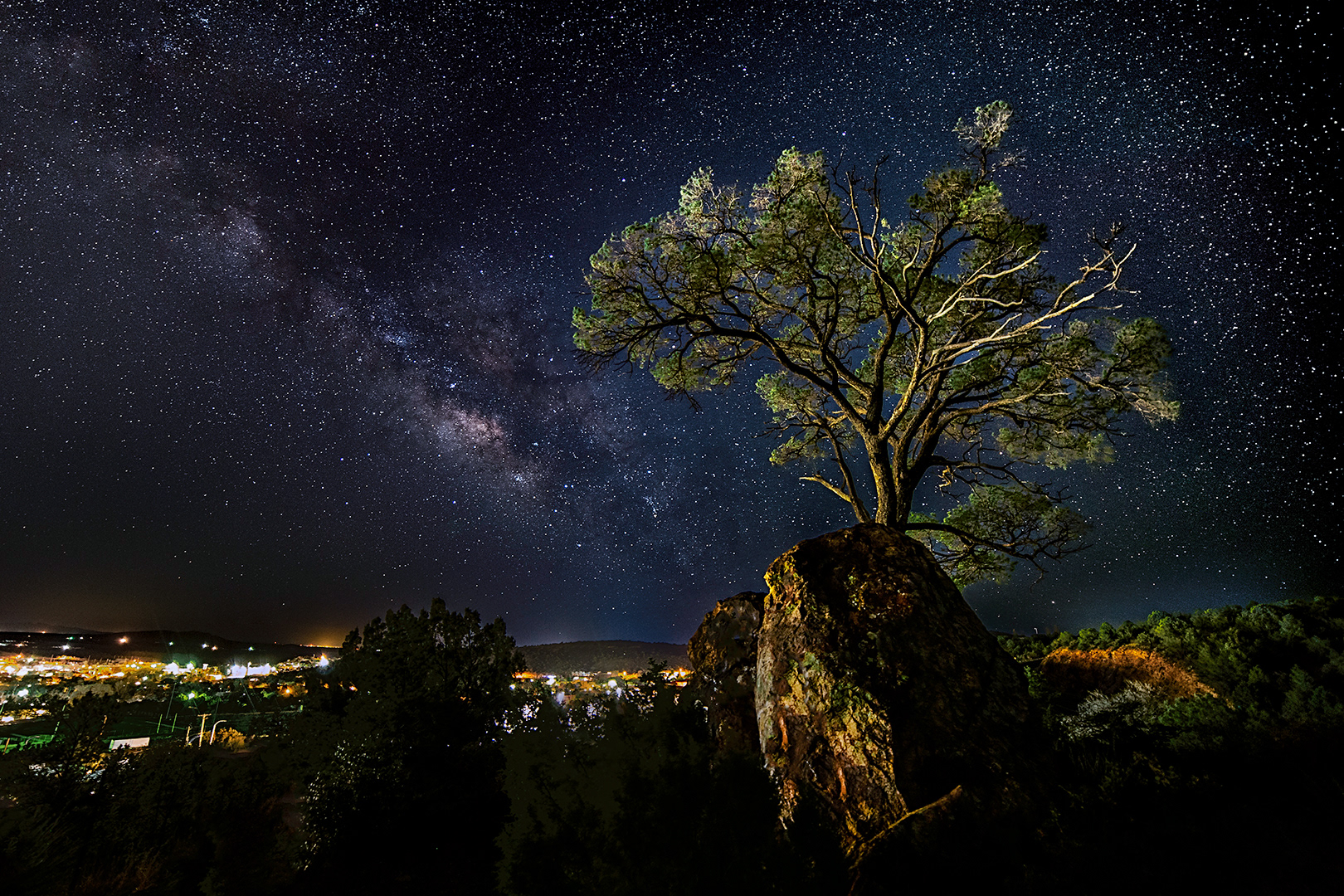 Tree Rock Spring Milky Way