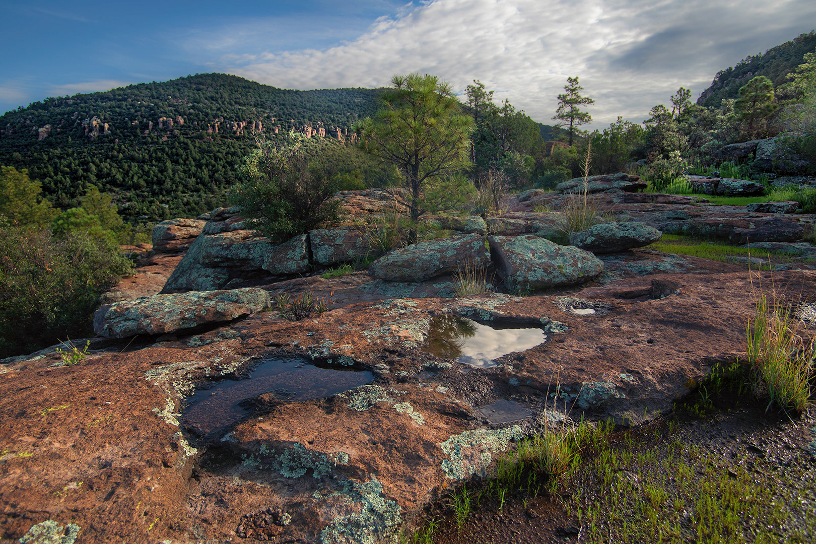Cherry Creek Water pools