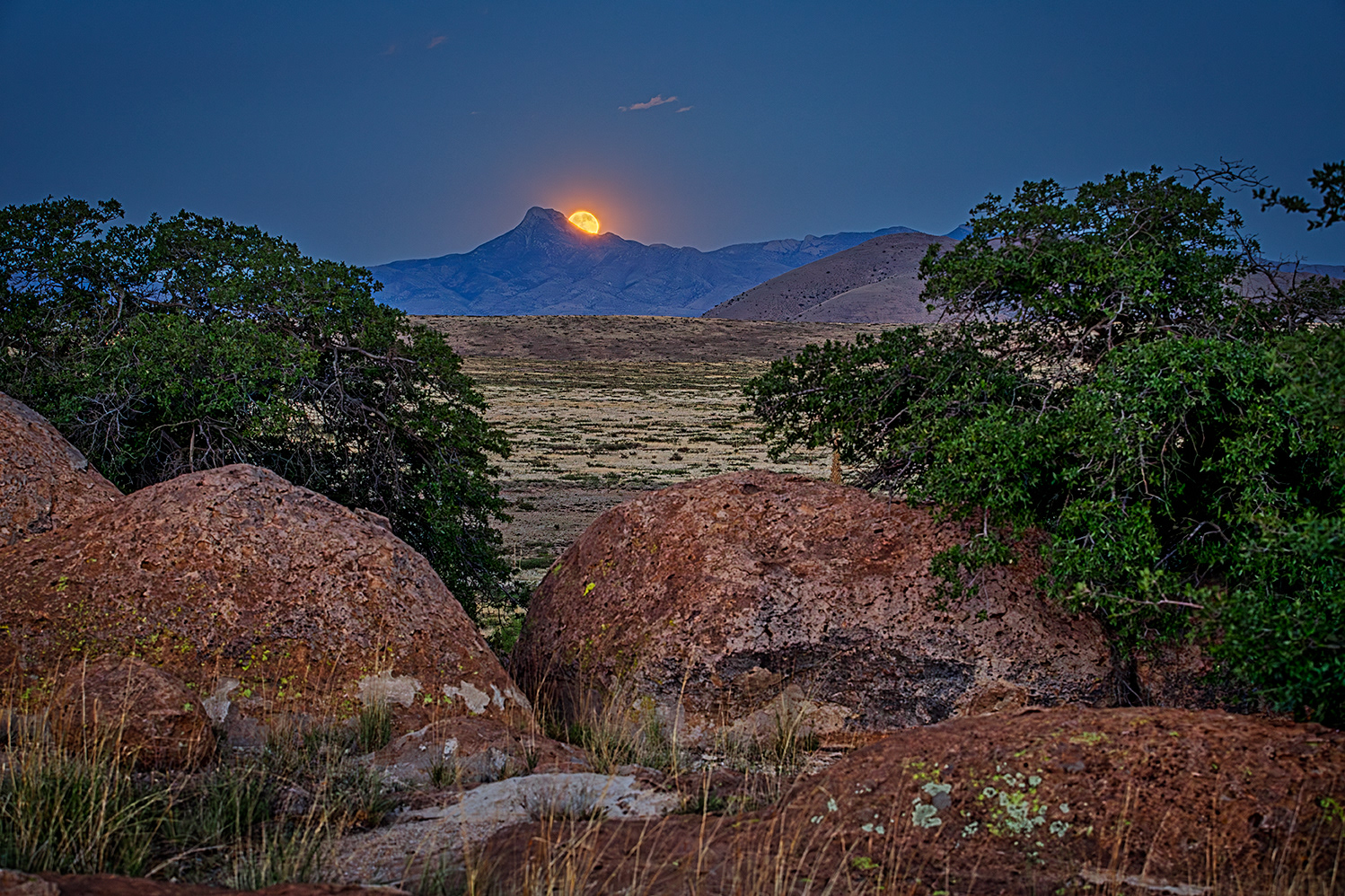 August Blue Moon
