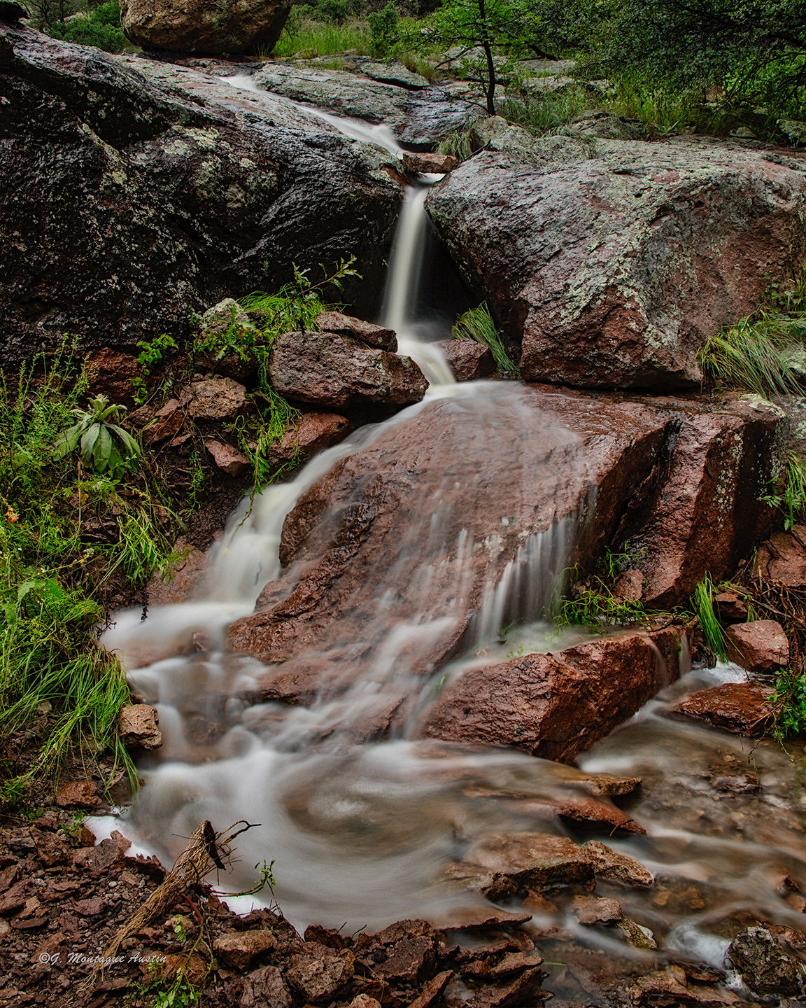 Surprise on Cherry Cr. Road