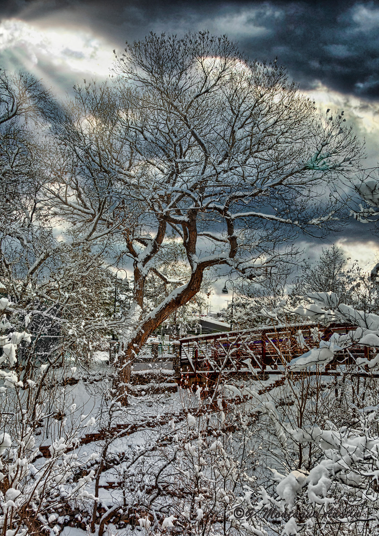 Big Ditch Winter Bridge 