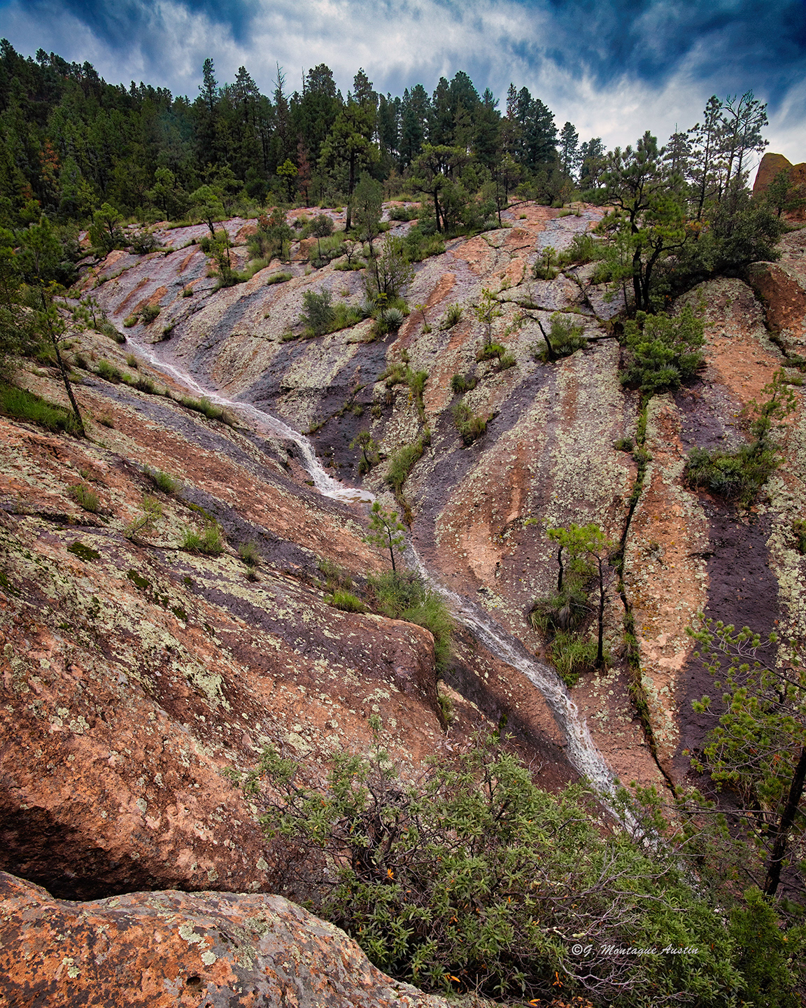 Cherry Creek side Canyon