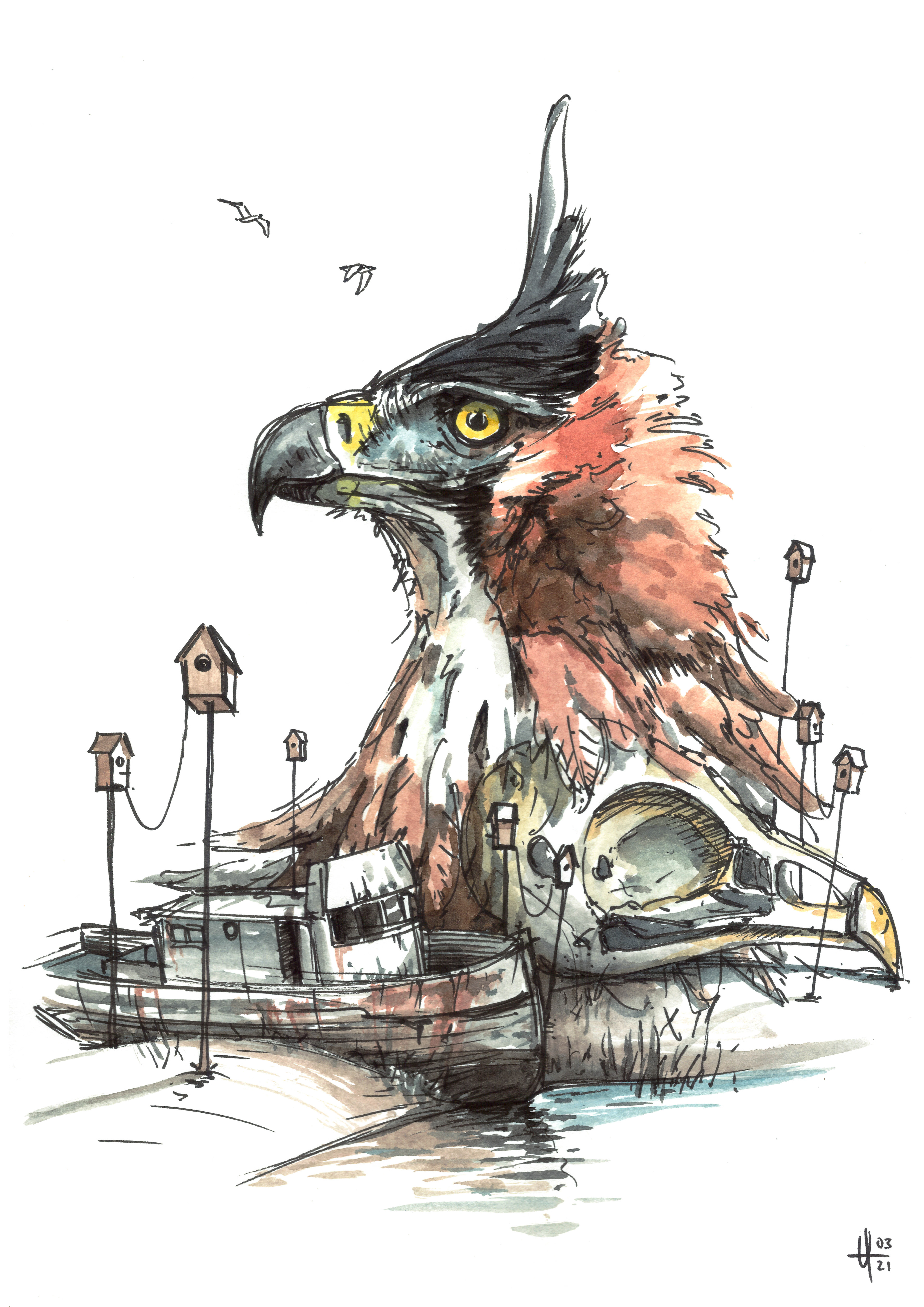Haubenadler