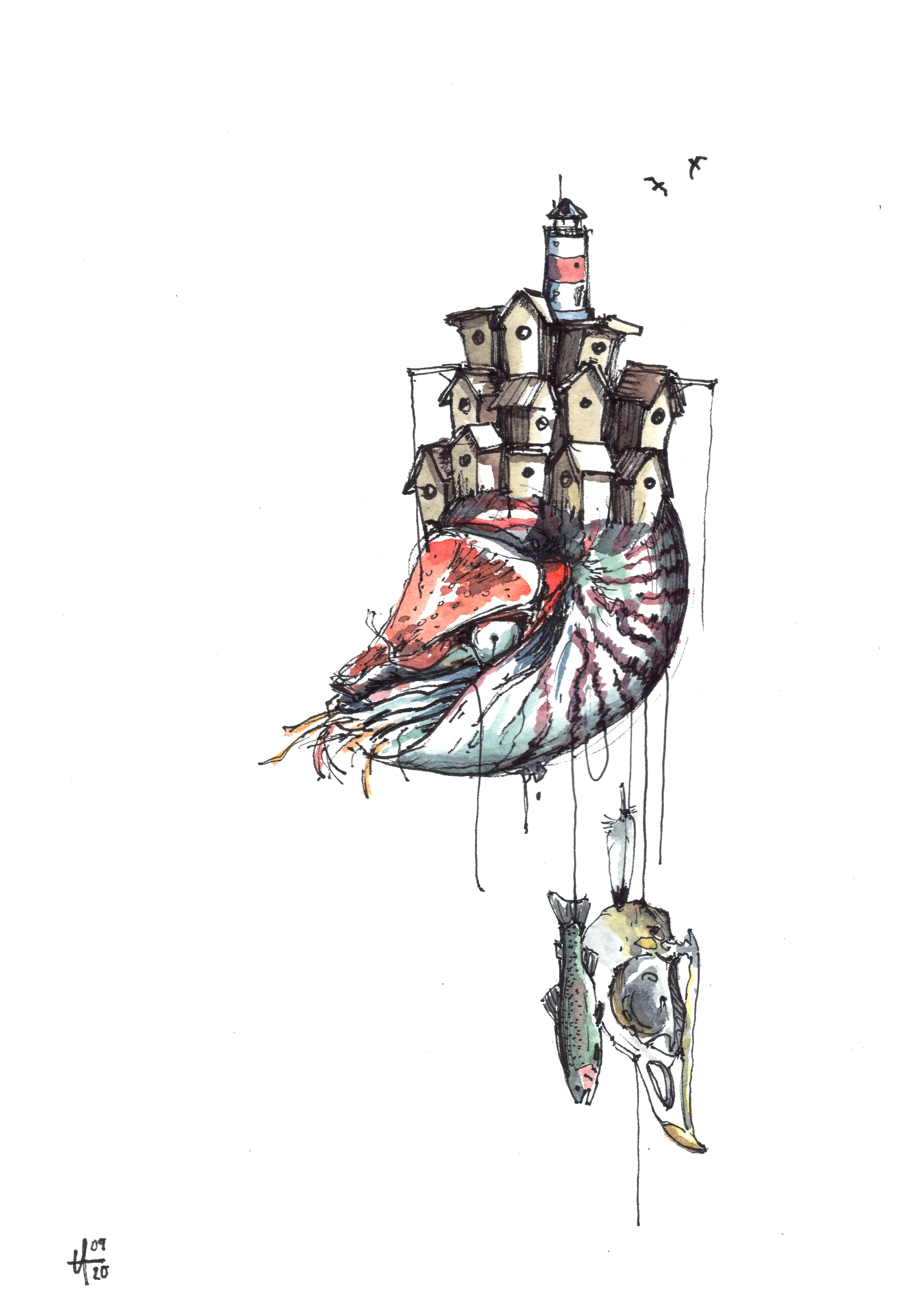 Nautilus