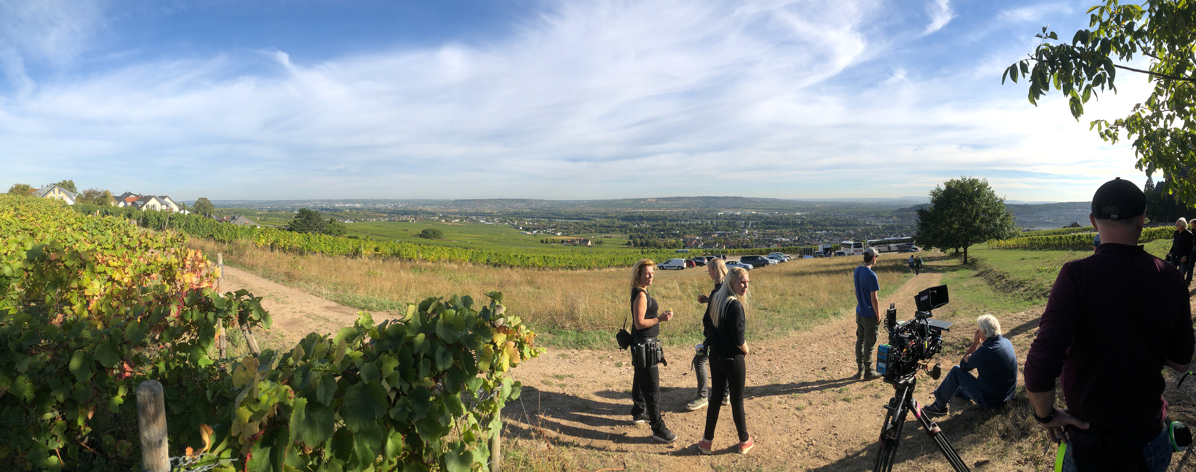 De Beentjes van Sint Hildegard